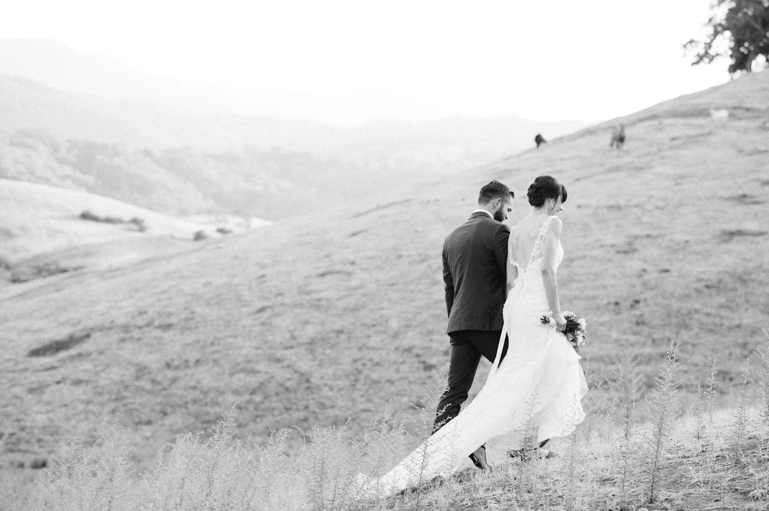 dom_elise_sanjose_wedding-2367.jpg