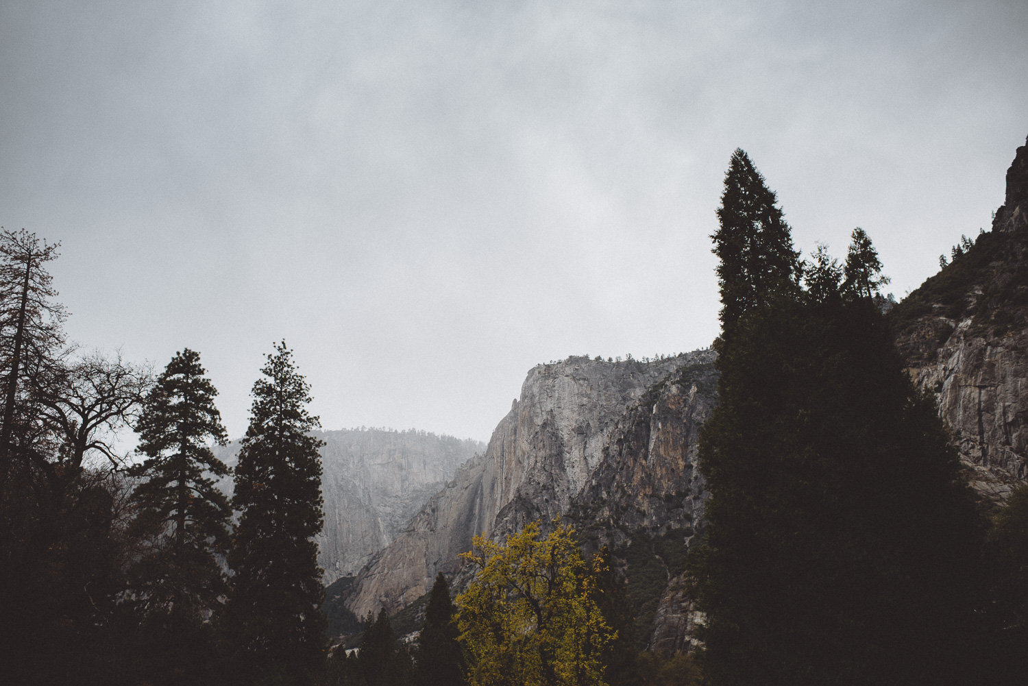 sandra_shawn_yosemite_elopement_0165.jpg