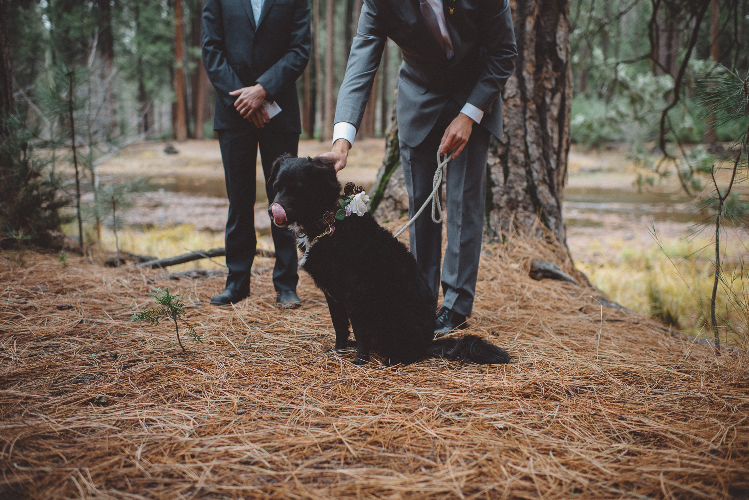 sandra_shawn_yosemite_elopement_0215.jpg
