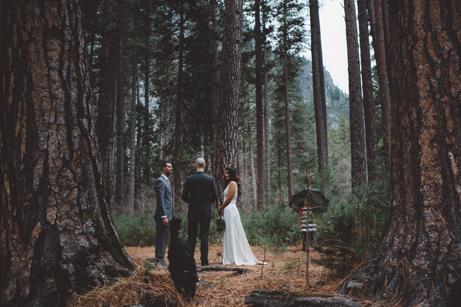 sandra_shawn_yosemite_elopement_0246.jpg