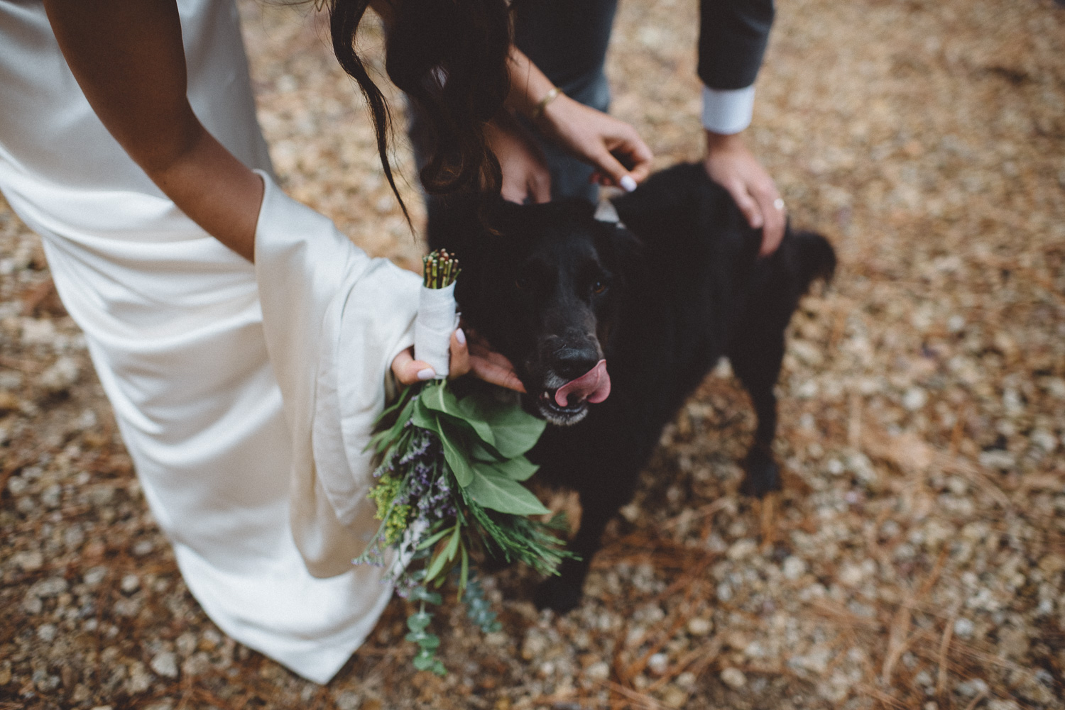 sandra_shawn_yosemite_elopement_0353.jpg