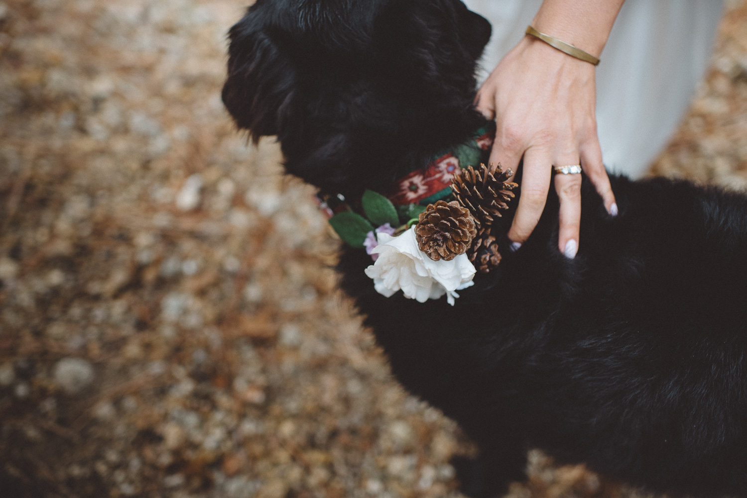 sandra_shawn_yosemite_elopement_0355.jpg