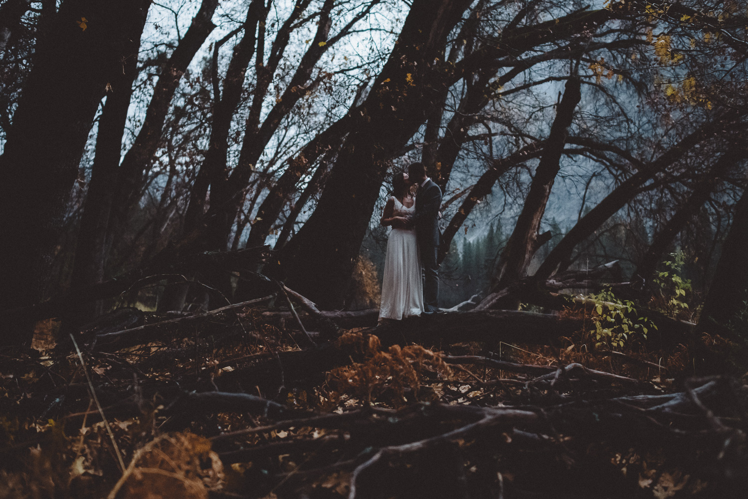 sandra_shawn_yosemite_elopement_0788.jpg