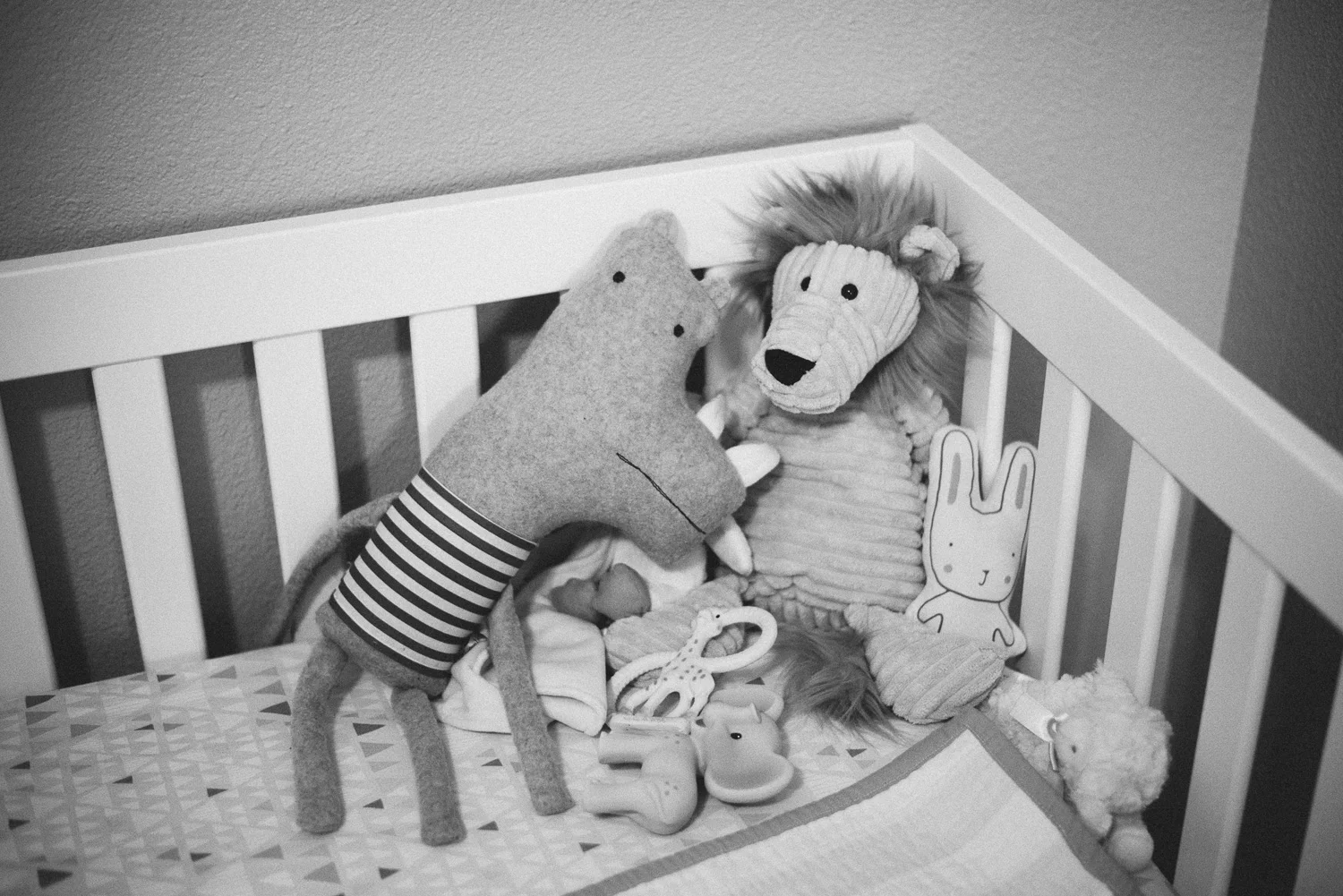 vanderhoek_family_photography-8047.jpg