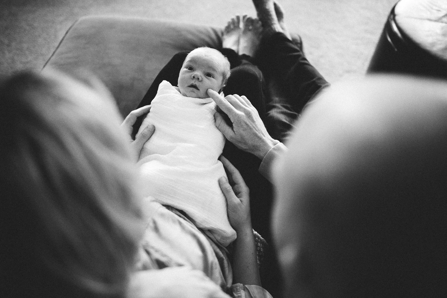 vanderhoek_family_photography-8131.jpg