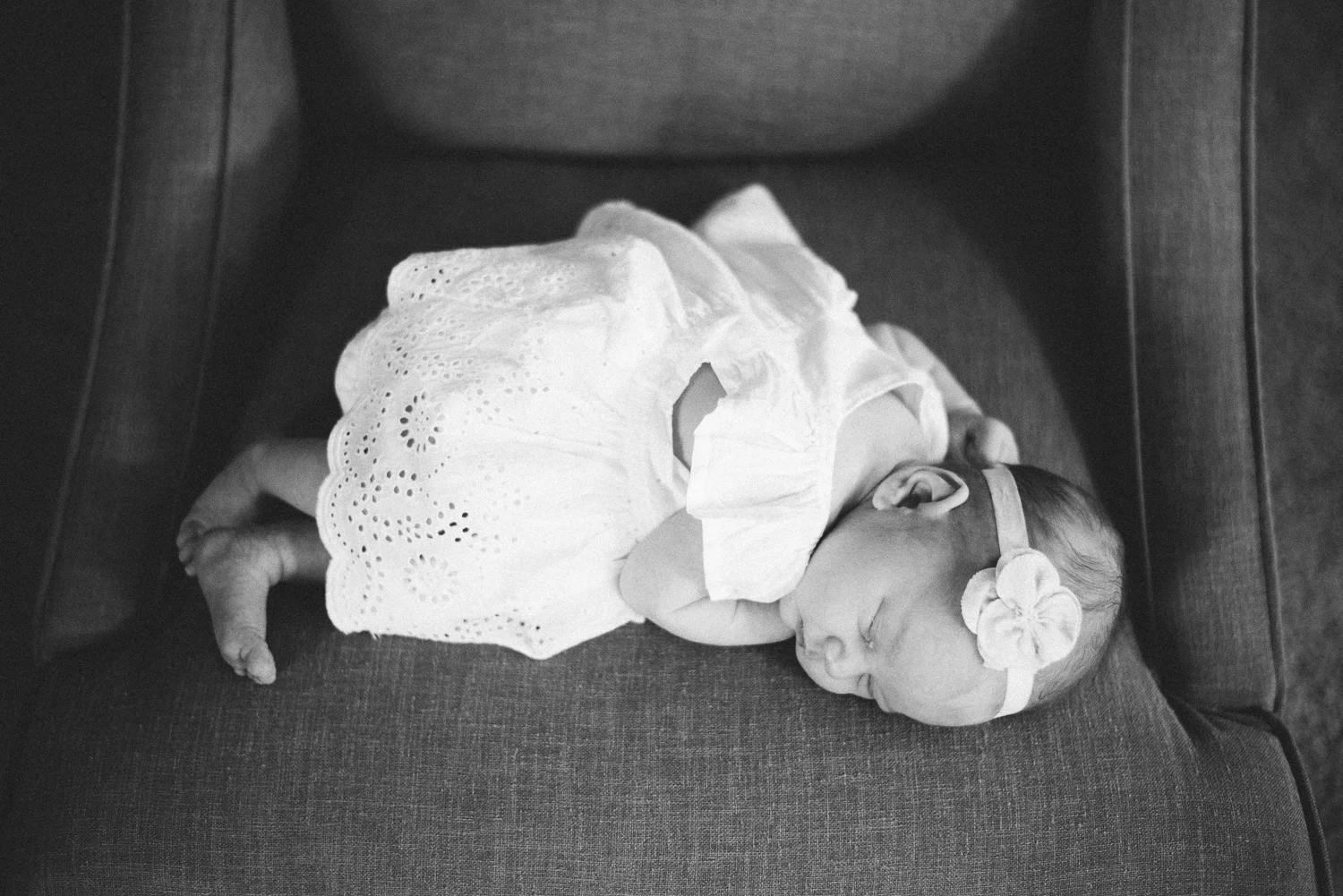 vanderhoek_family_photography-8295.jpg