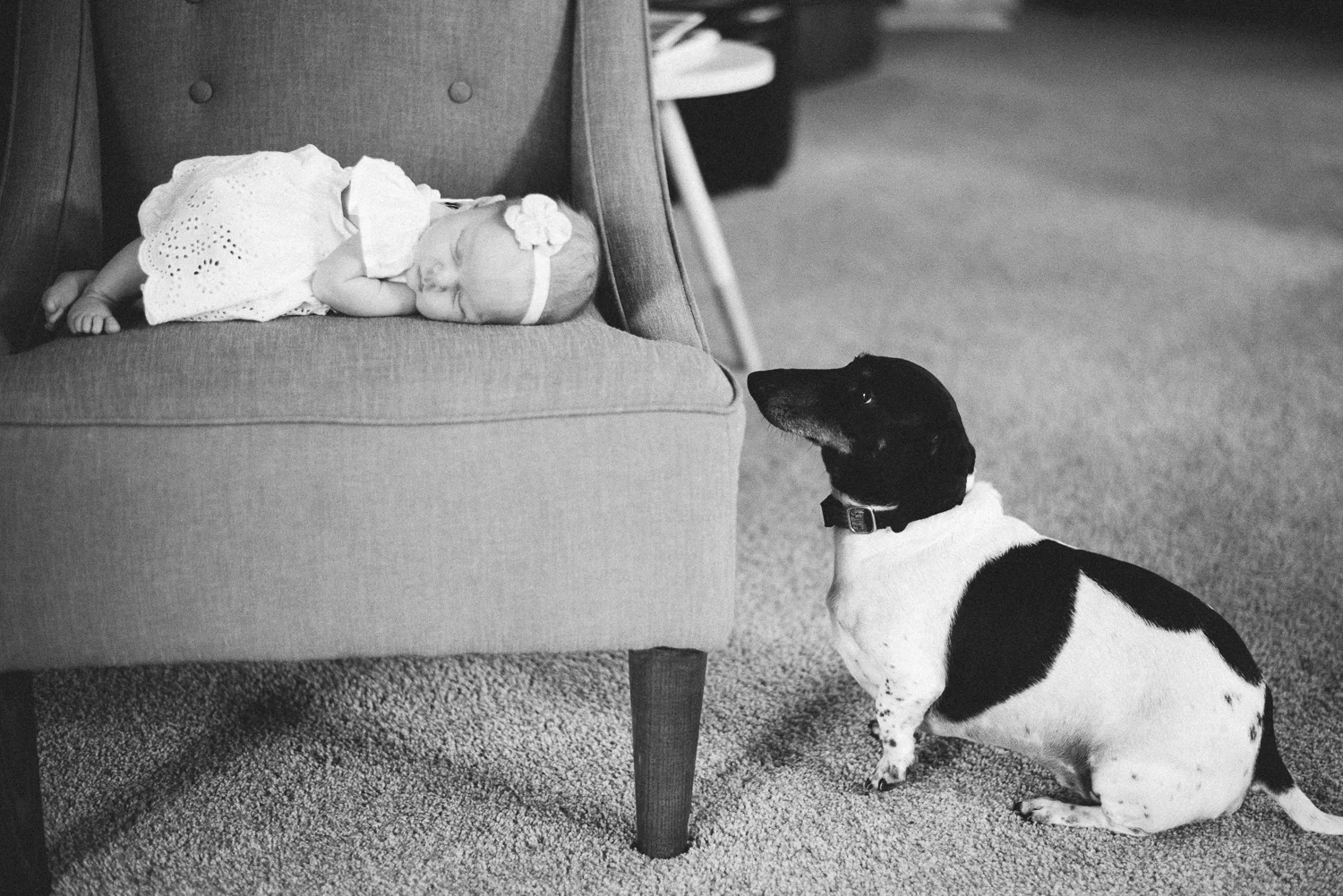 vanderhoek_family_photography-8320.jpg