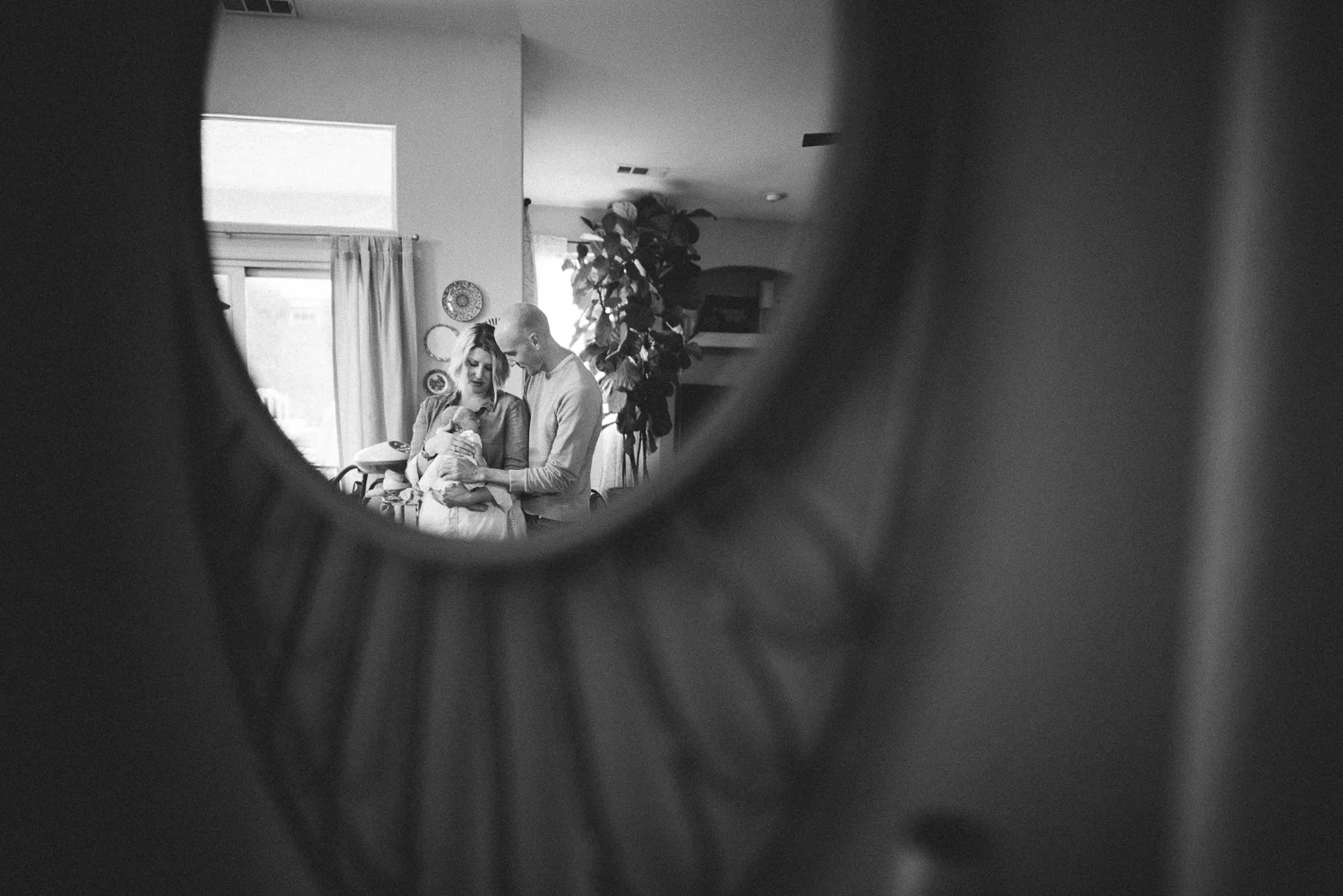 vanderhoek_family_photography-8335.jpg