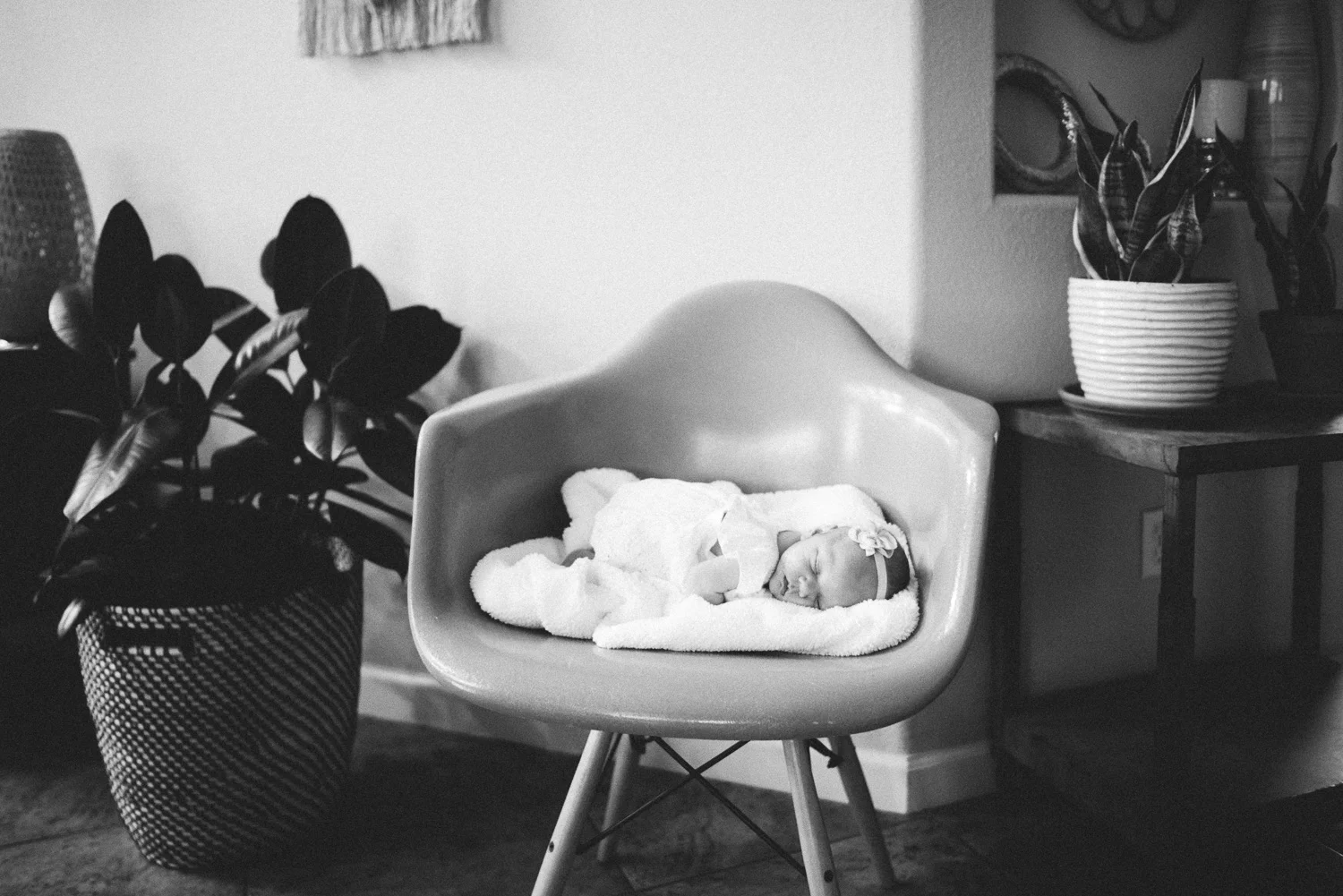 vanderhoek_family_photography-8386.jpg