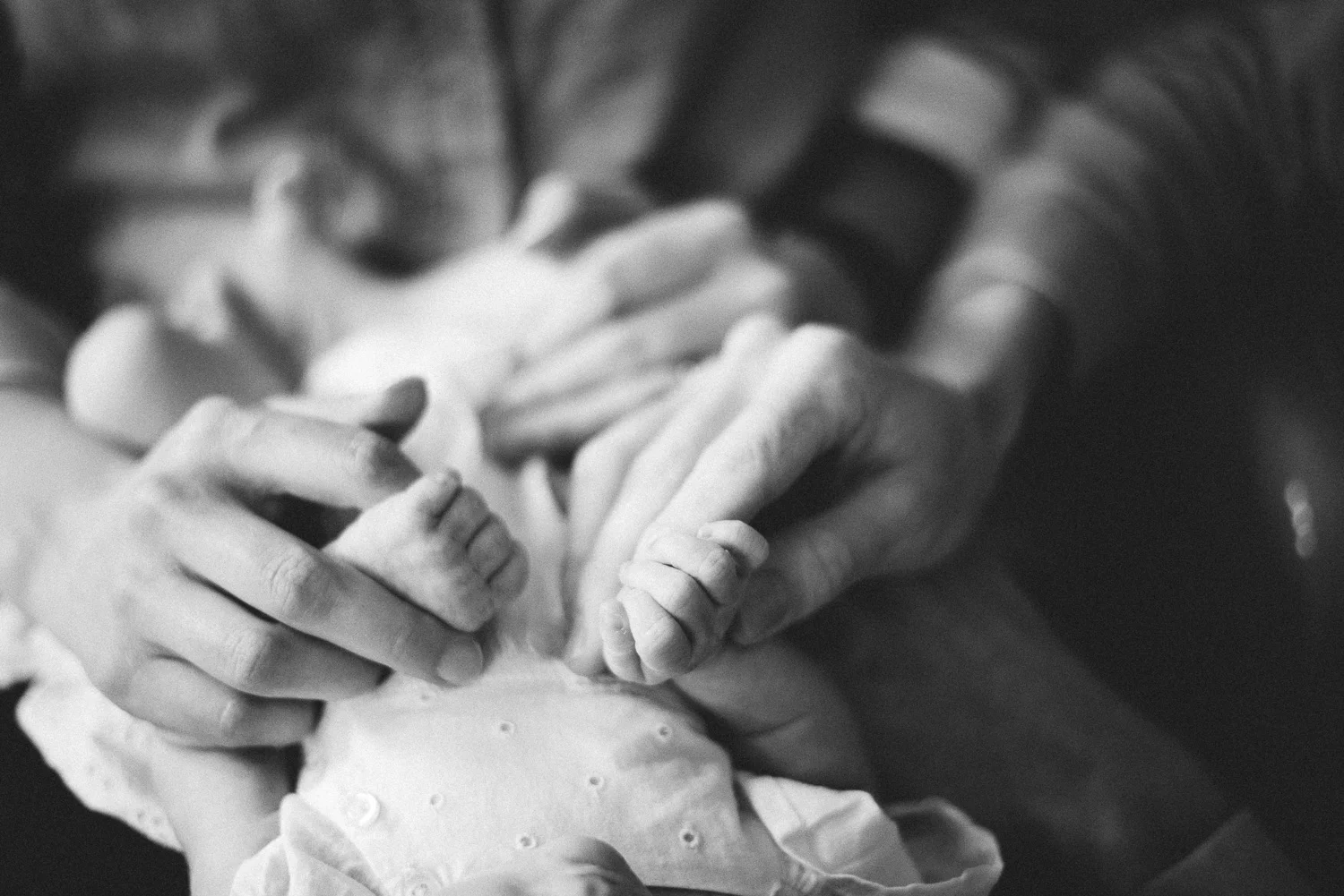 vanderhoek_family_photography-8420.jpg