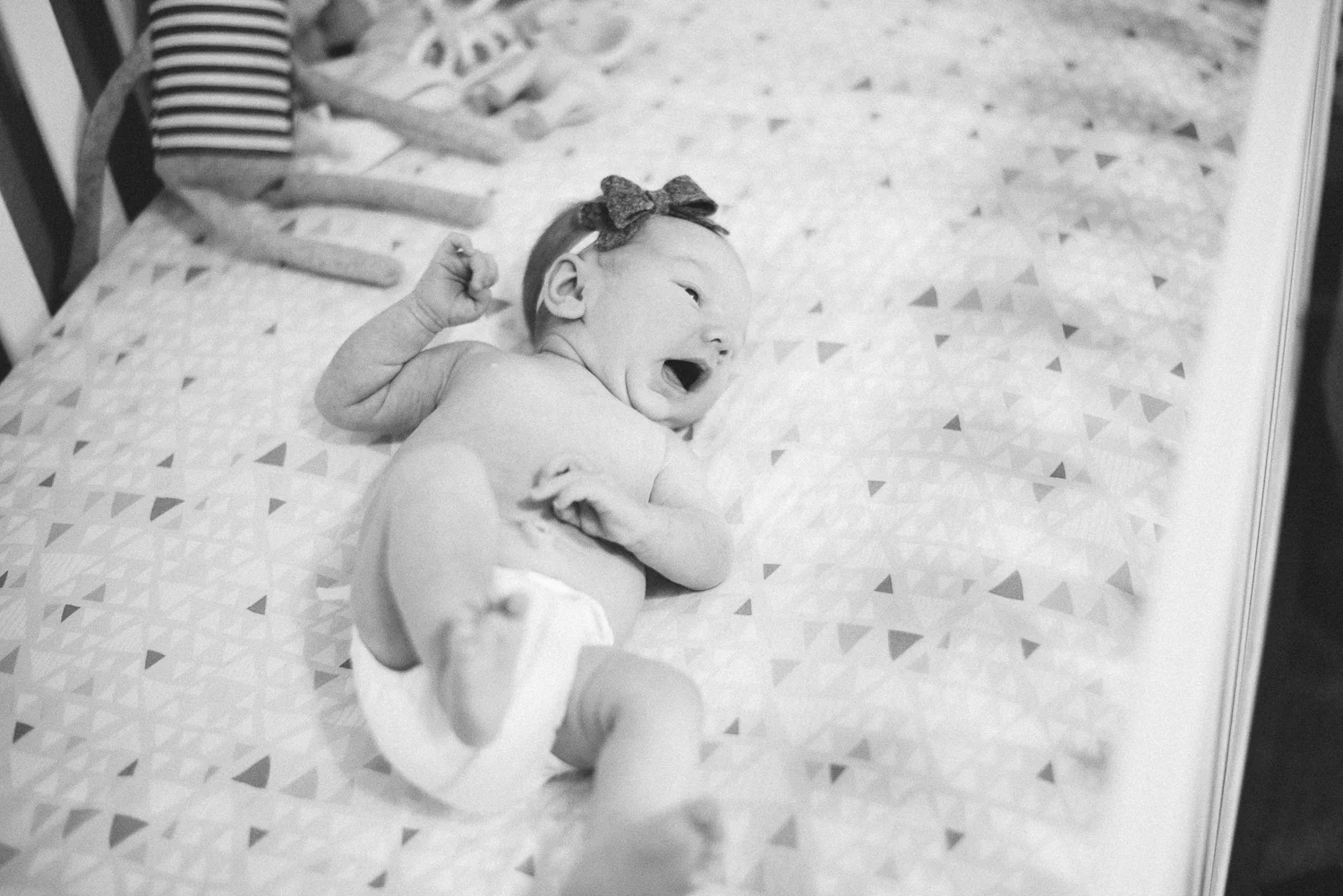vanderhoek_family_photography-8422.jpg