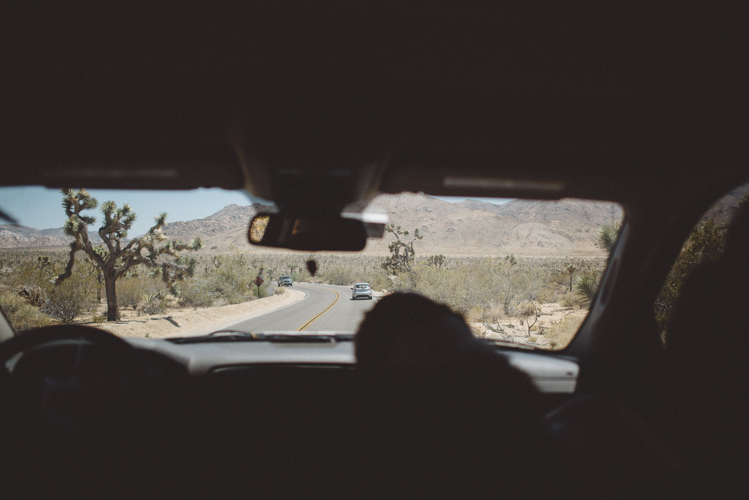 lex_mike_joshua_tree_photography_5273.jpg