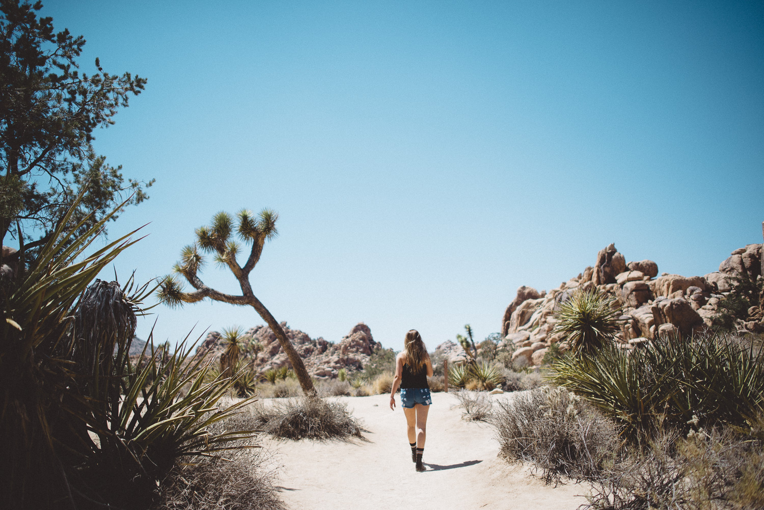 lex_mike_joshua_tree_photography_5289.jpg