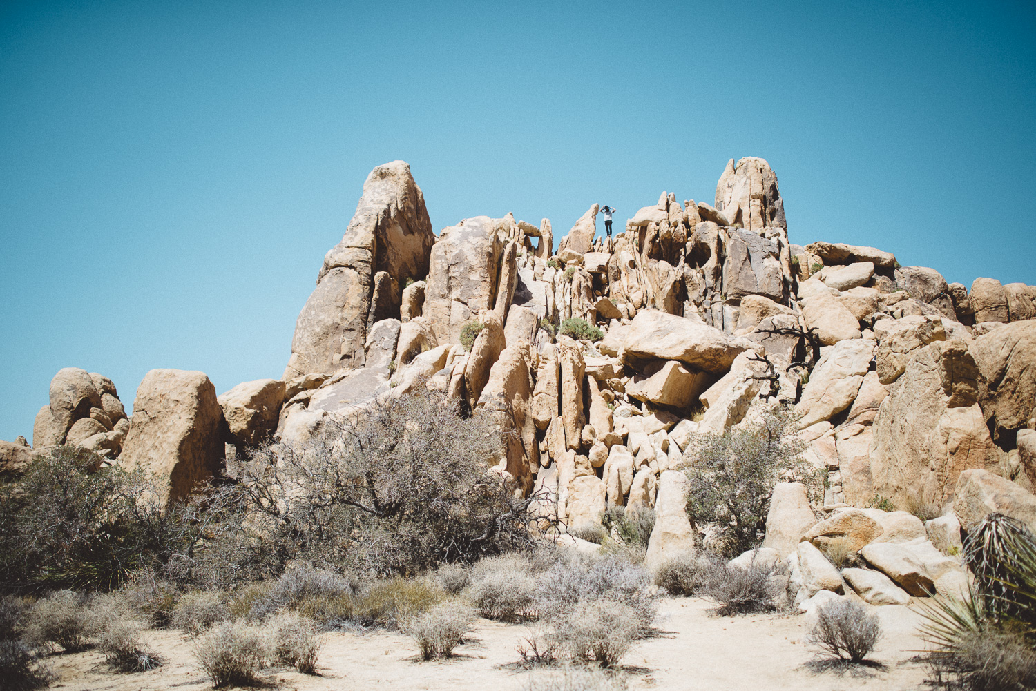 lex_mike_joshua_tree_photography_5307.jpg