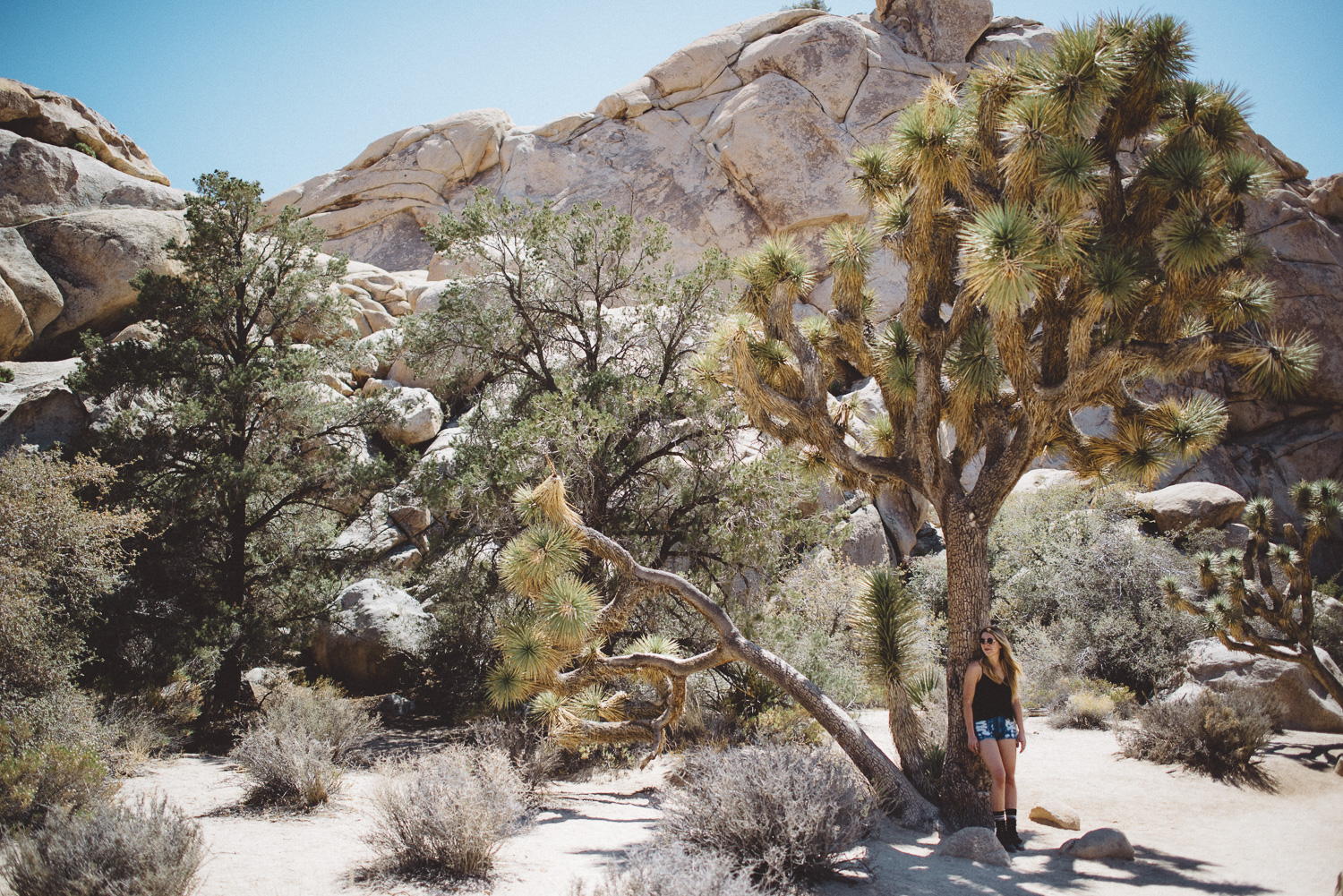 lex_mike_joshua_tree_photography_5336.jpg