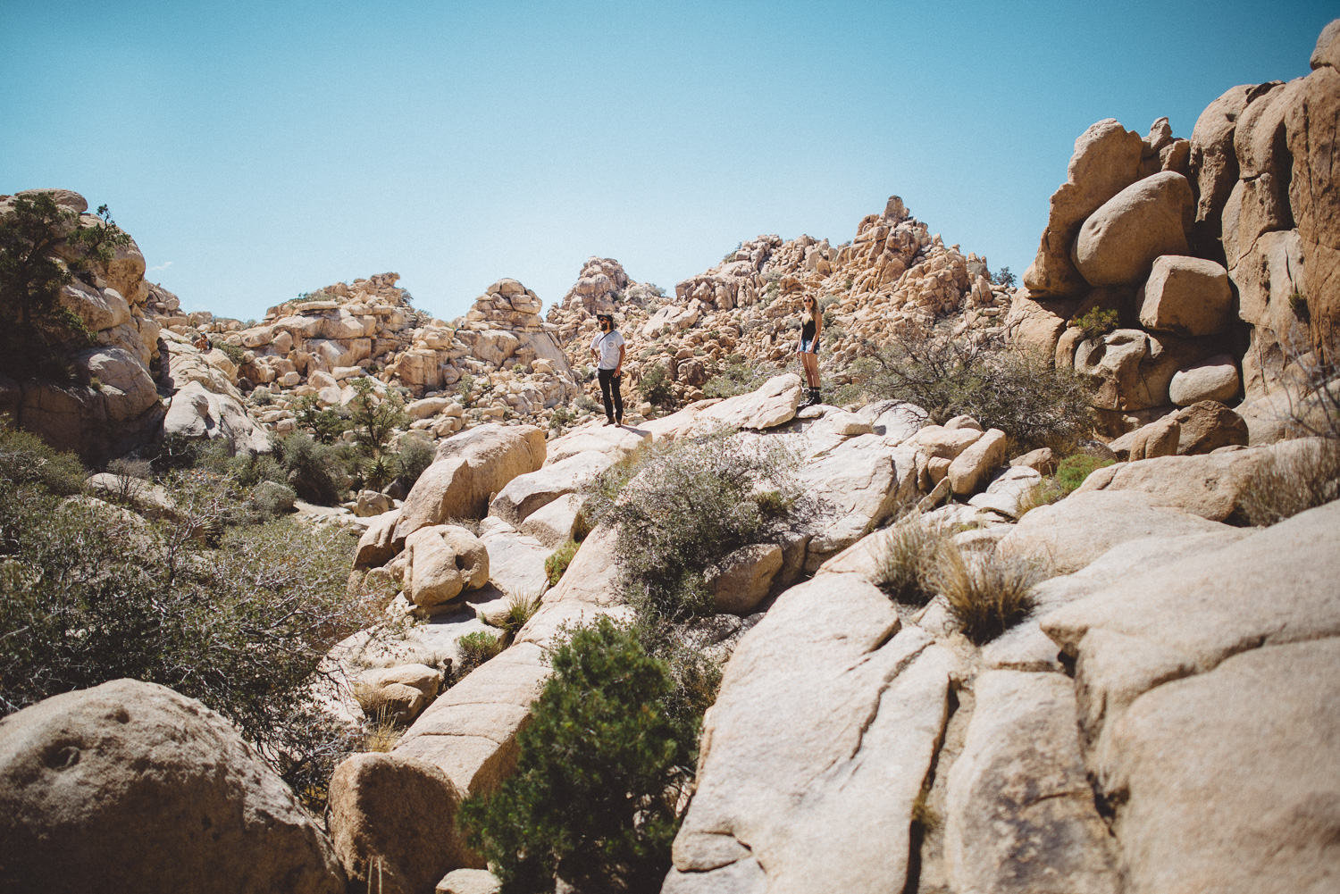 lex_mike_joshua_tree_photography_5372.jpg