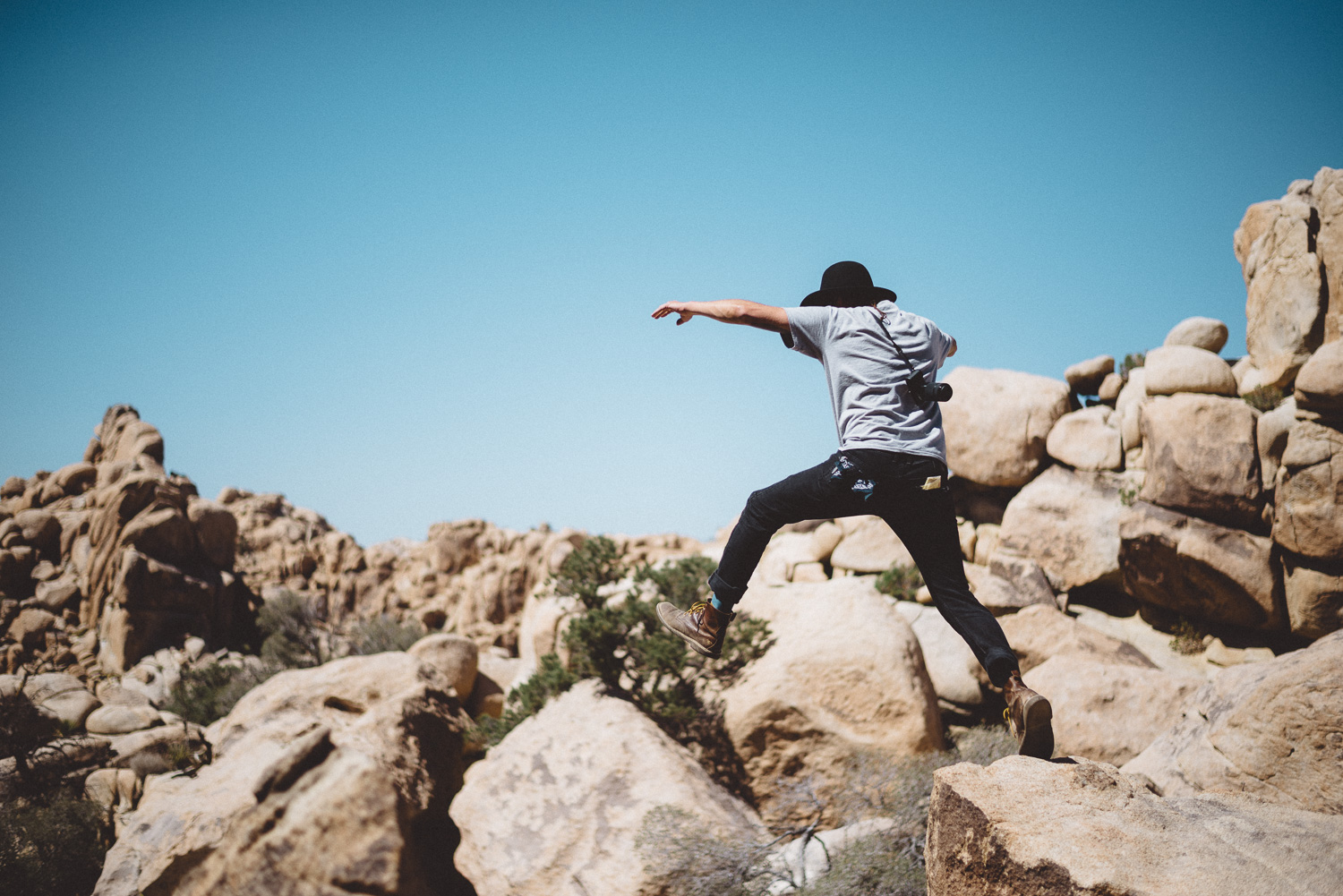 lex_mike_joshua_tree_photography_5427.jpg