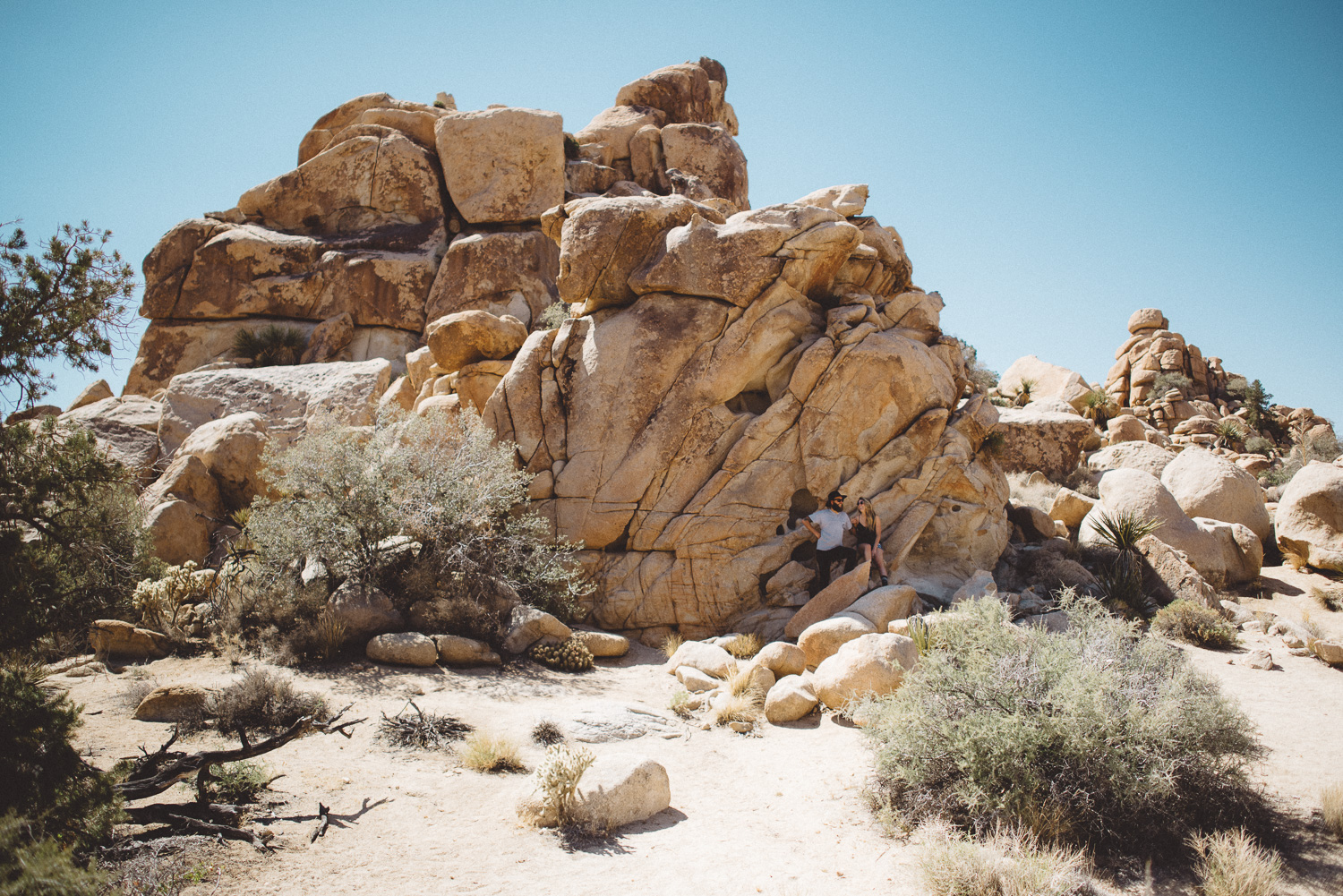 lex_mike_joshua_tree_photography_5452.jpg