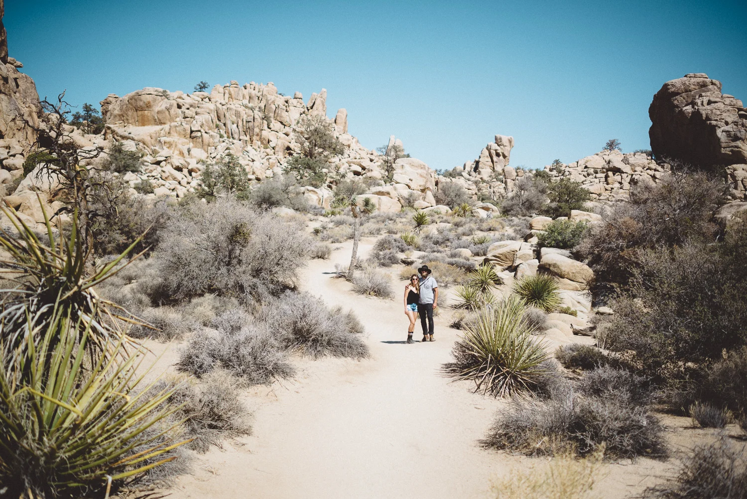 lex_mike_joshua_tree_photography_5505.jpg