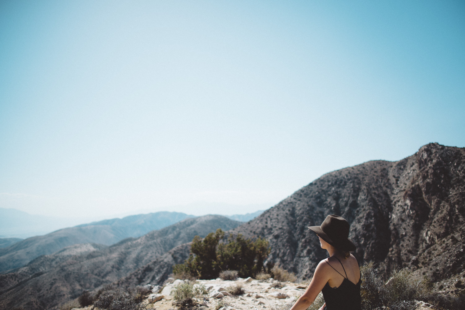 lex_mike_joshua_tree_photography_5528.jpg