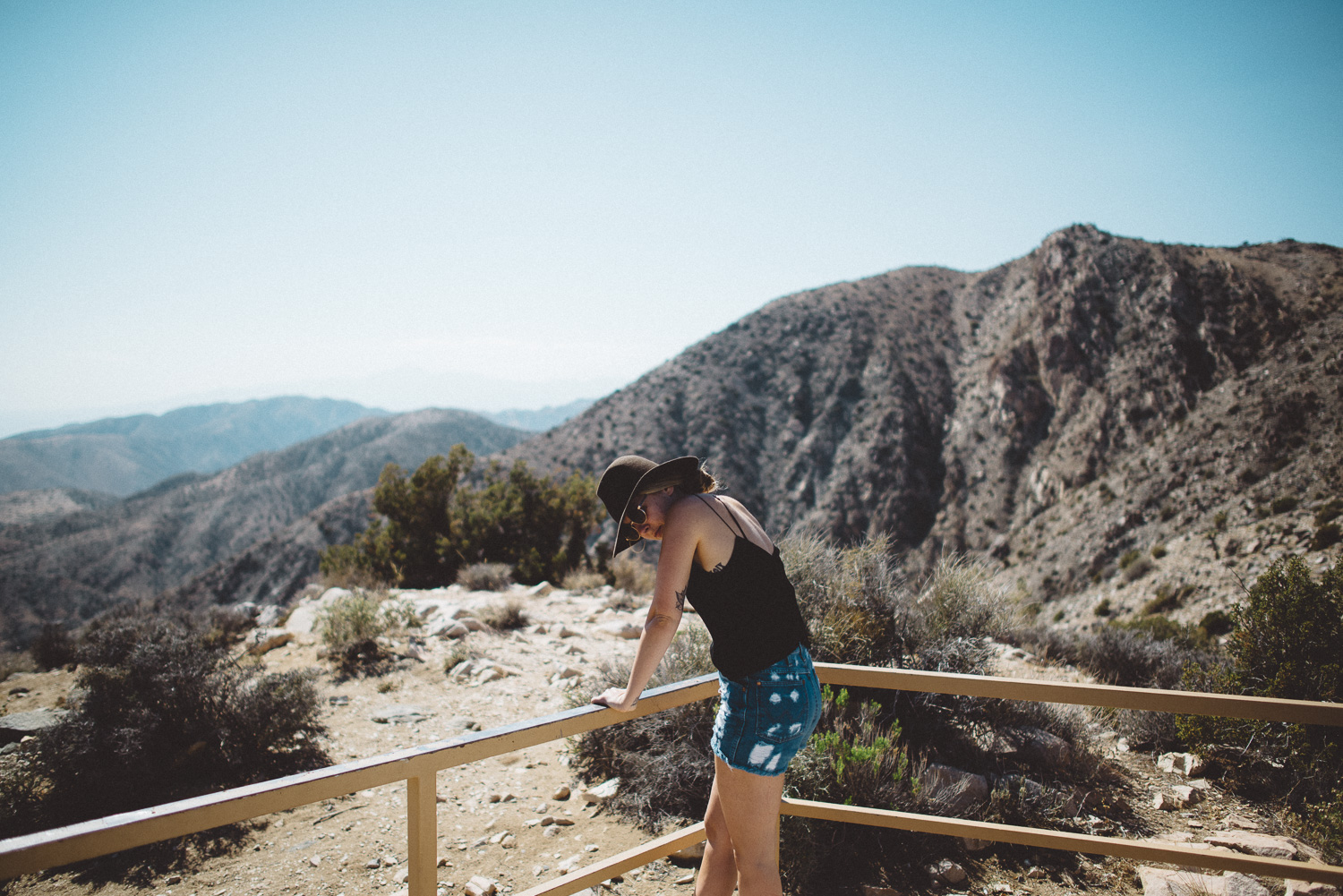 lex_mike_joshua_tree_photography_5527.jpg