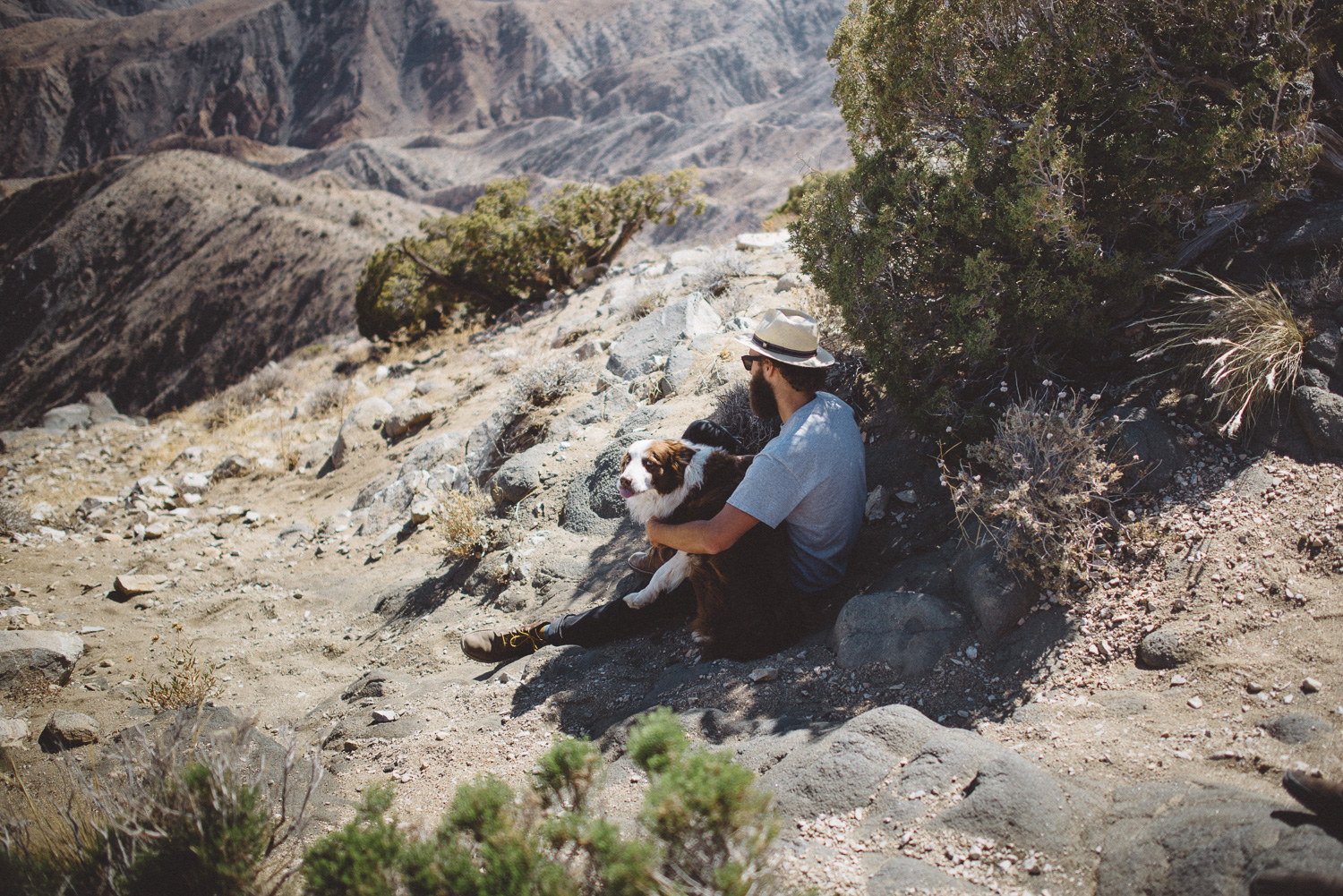 lex_mike_joshua_tree_photography_5534.jpg