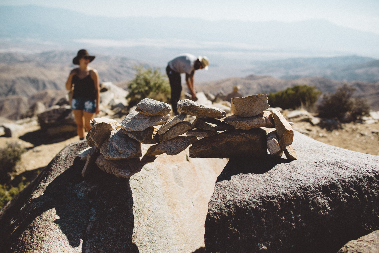 lex_mike_joshua_tree_photography_5541.jpg