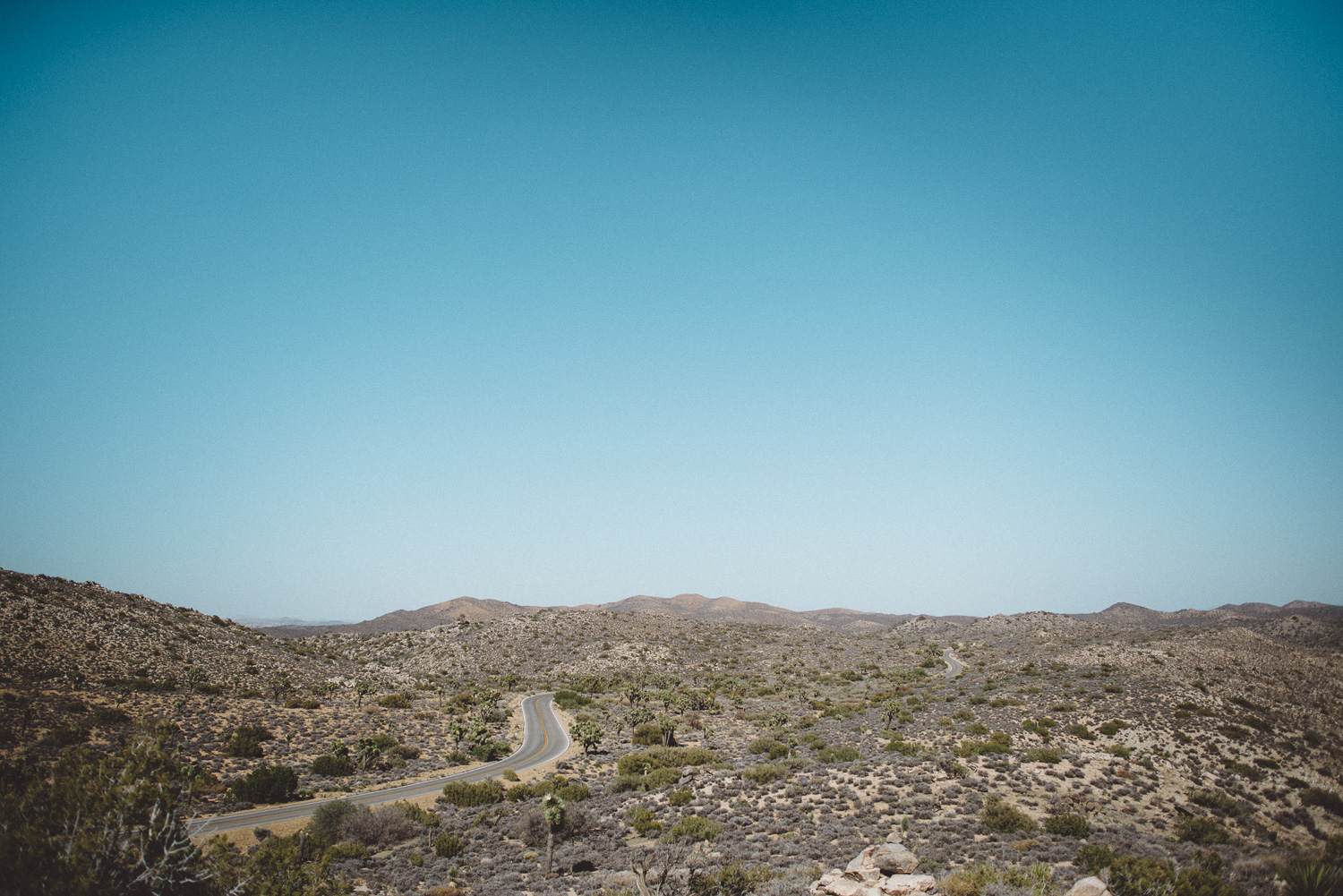 lex_mike_joshua_tree_photography_5571.jpg