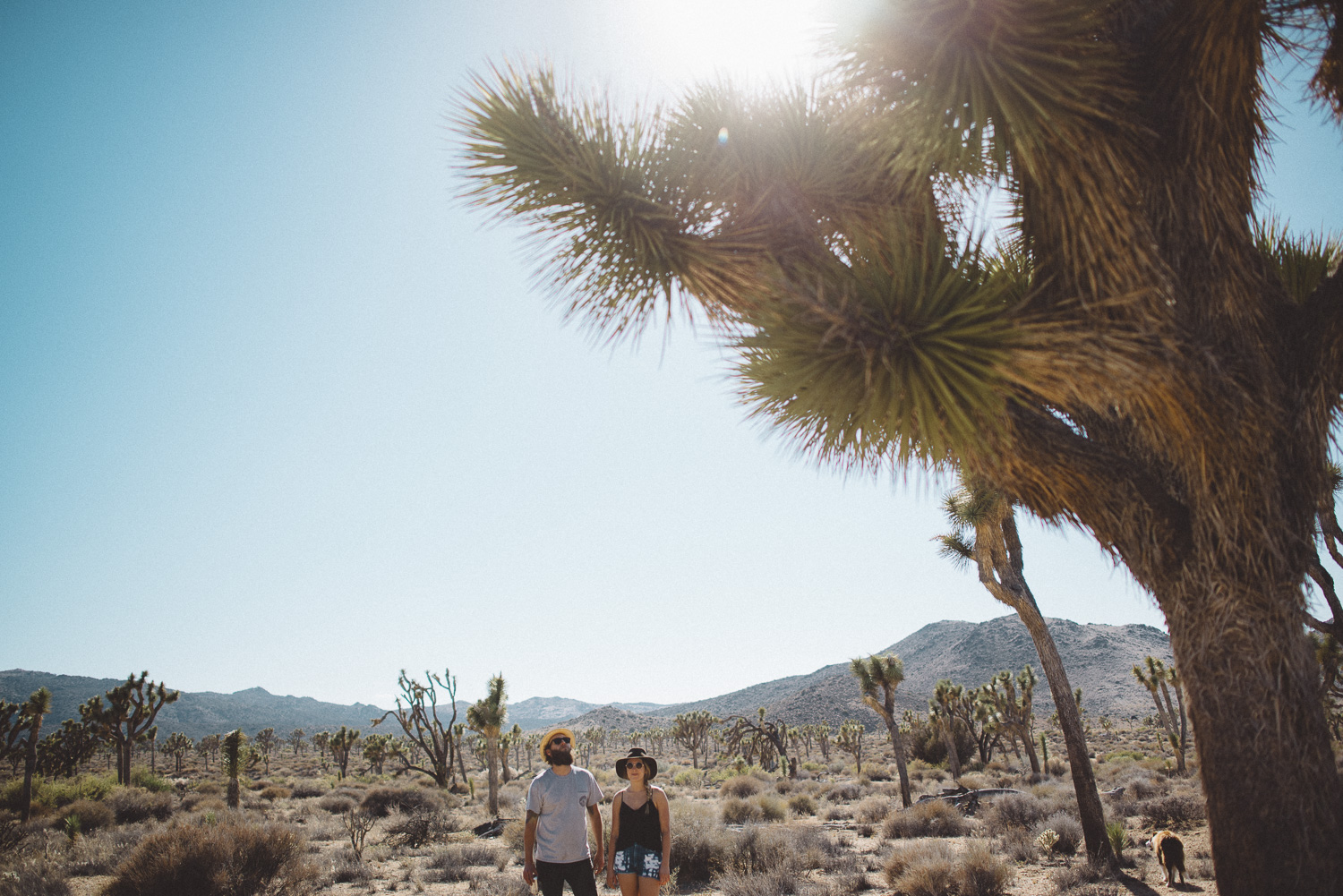 lex_mike_joshua_tree_photography_5594.jpg