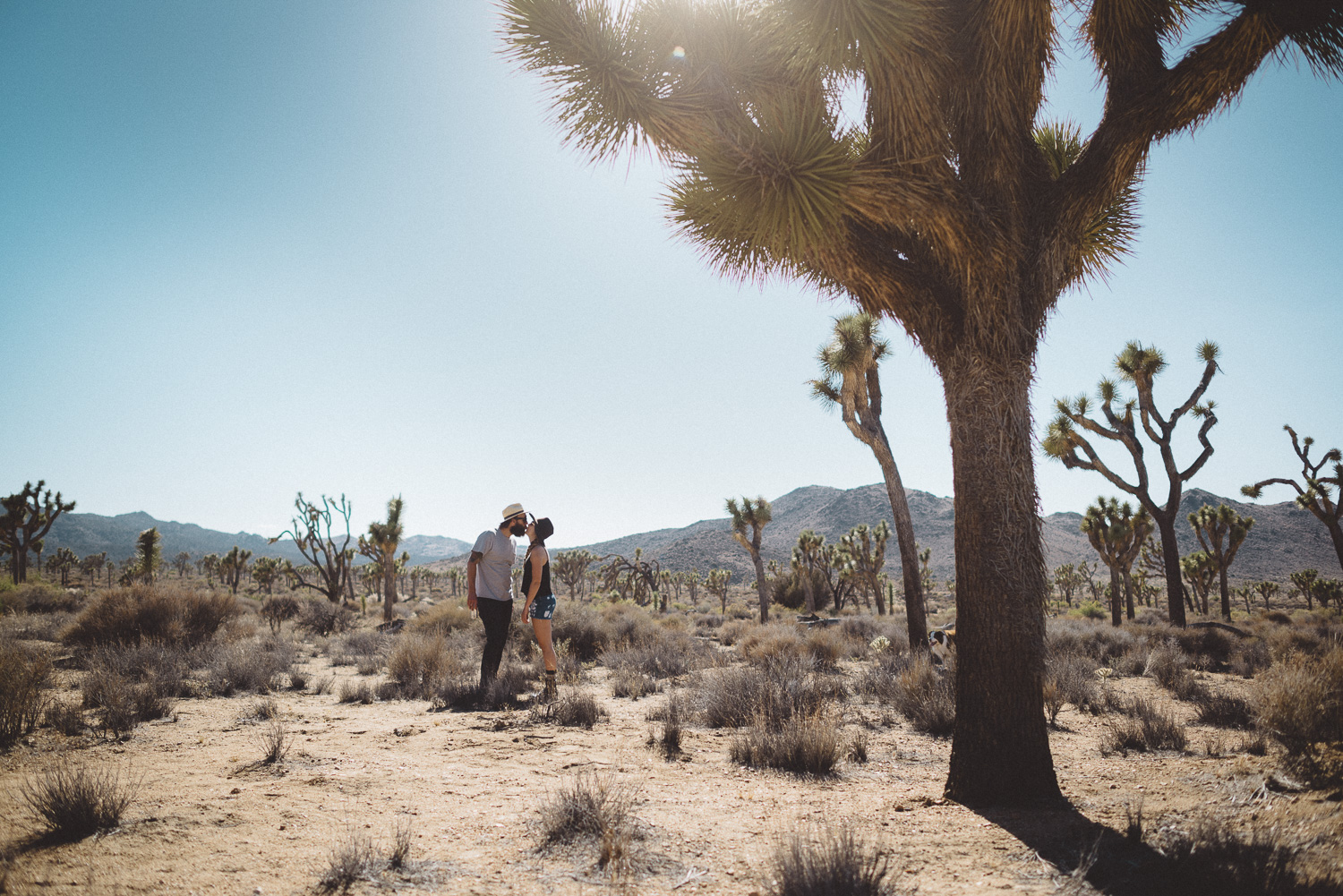 lex_mike_joshua_tree_photography_5604.jpg