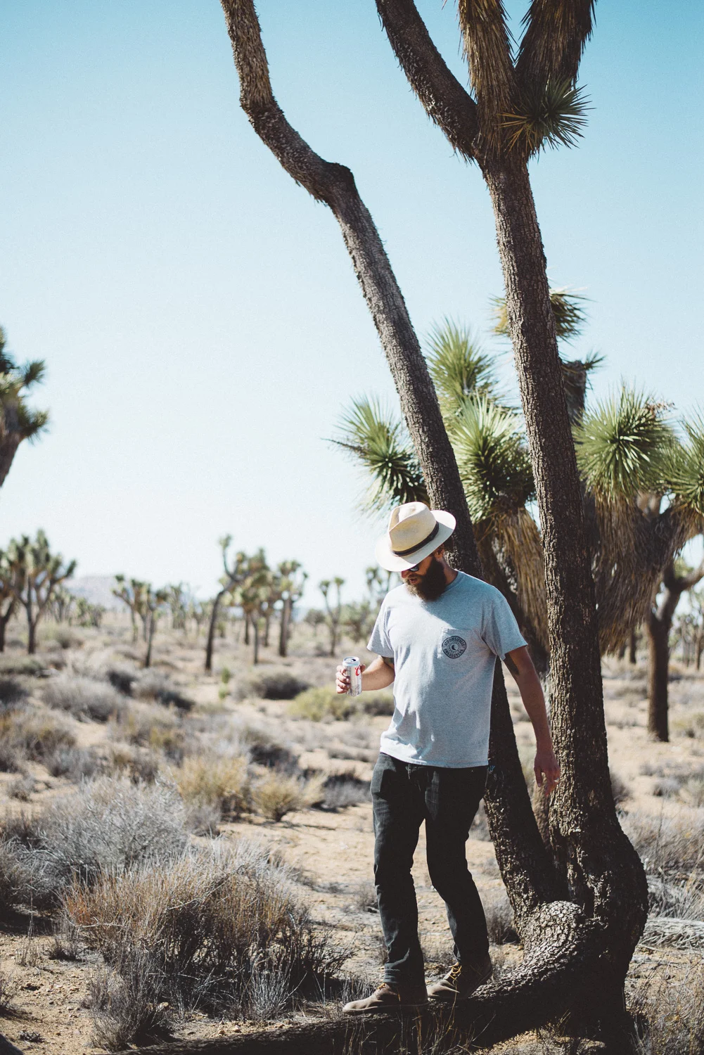 lex_mike_joshua_tree_photography_5639.jpg