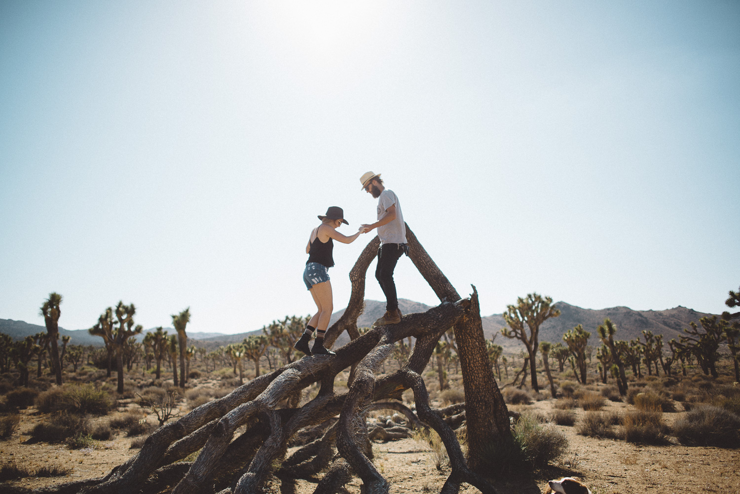 lex_mike_joshua_tree_photography_5674.jpg