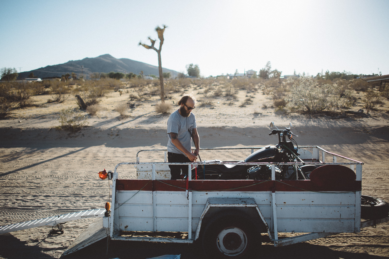 lex_mike_joshua_tree_photography_5735.jpg