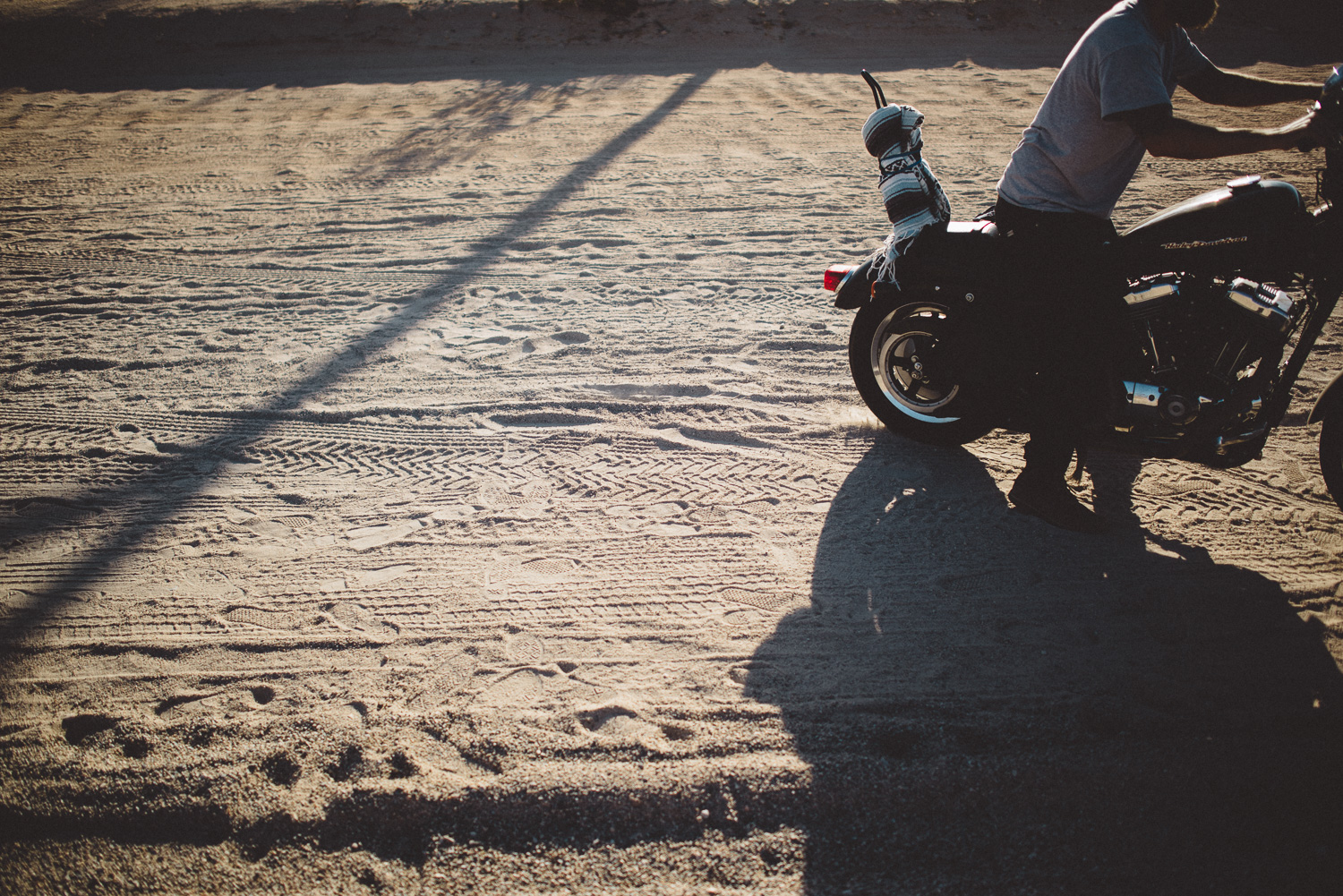 lex_mike_joshua_tree_photography_5766.jpg