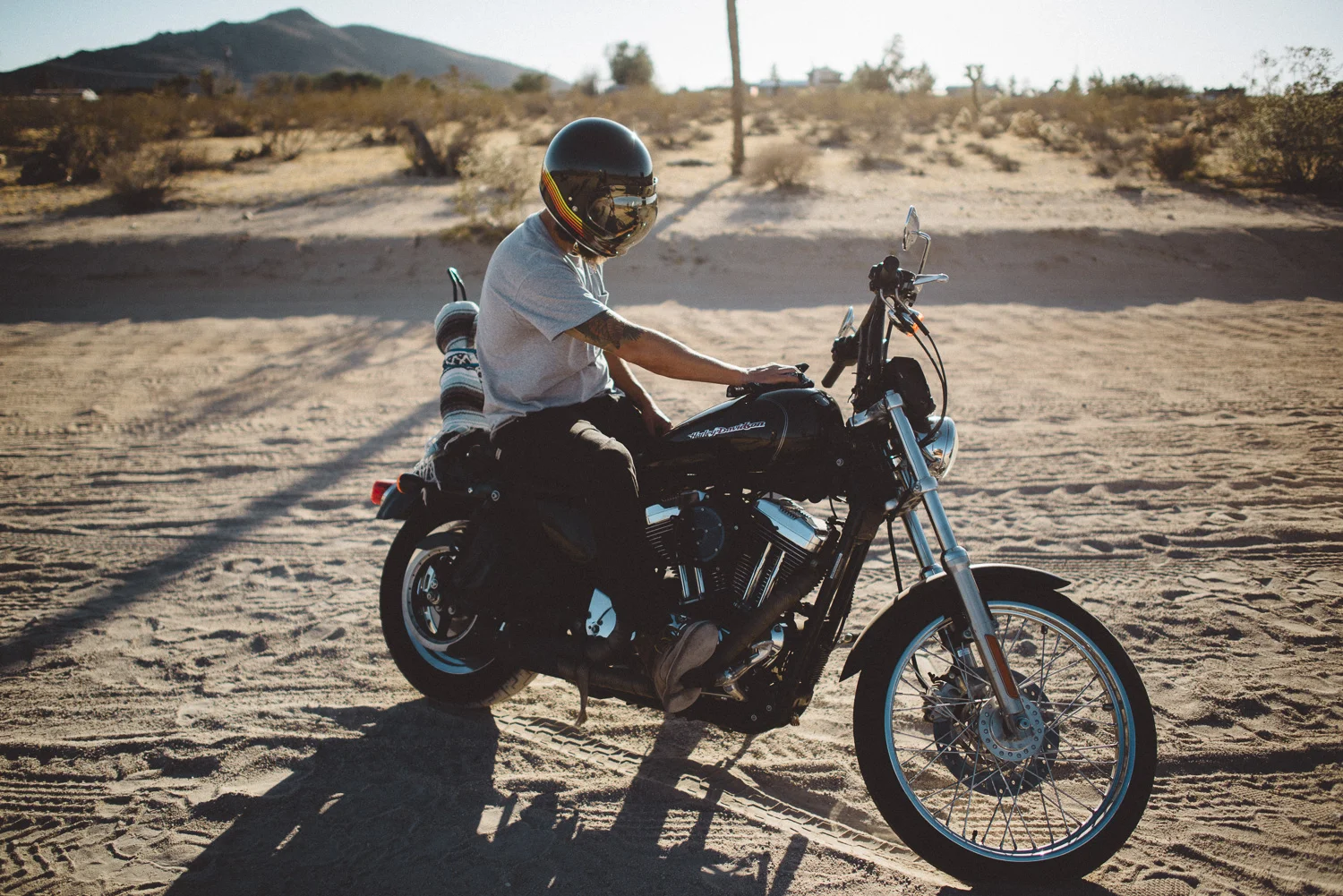lex_mike_joshua_tree_photography_5781.jpg