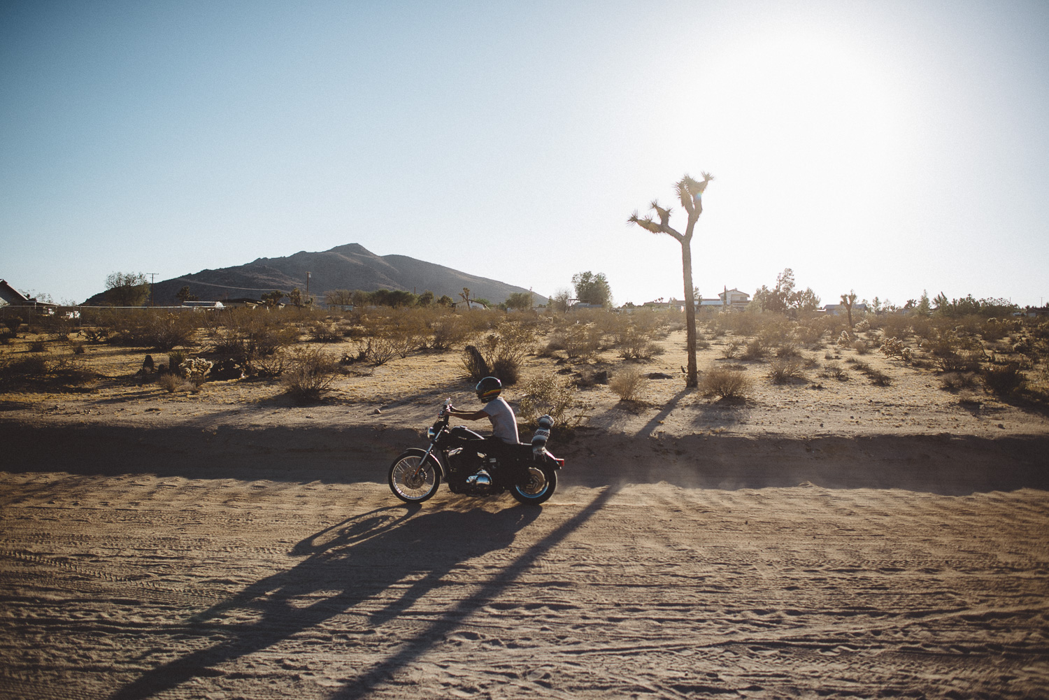 lex_mike_joshua_tree_photography_5784.jpg
