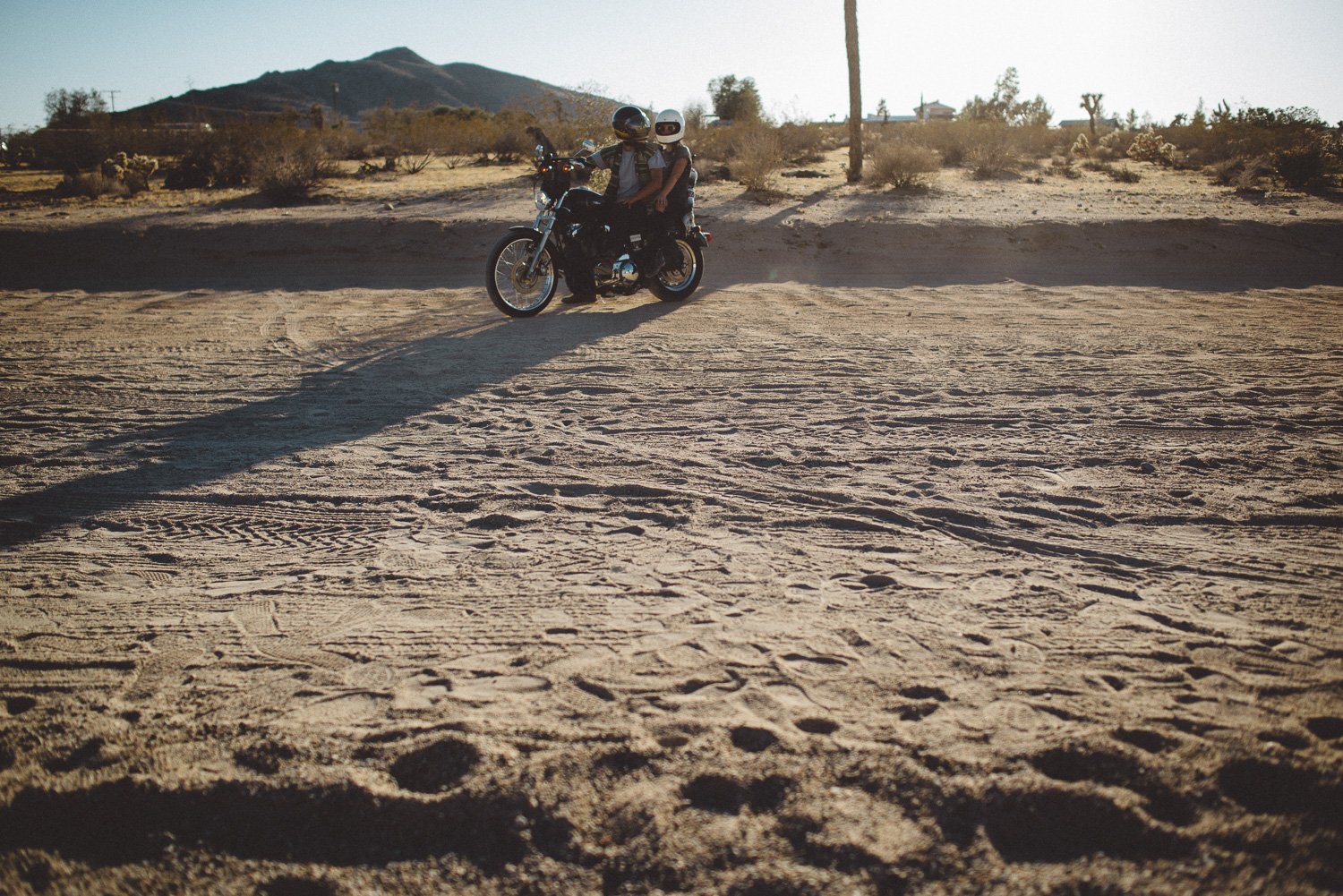 lex_mike_joshua_tree_photography_5805.jpg