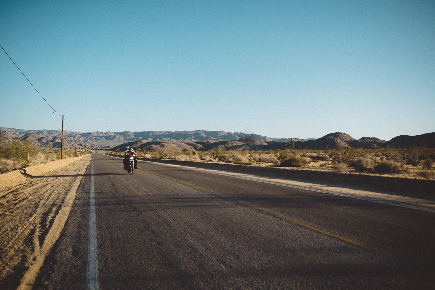 lex_mike_joshua_tree_photography_5958.jpg