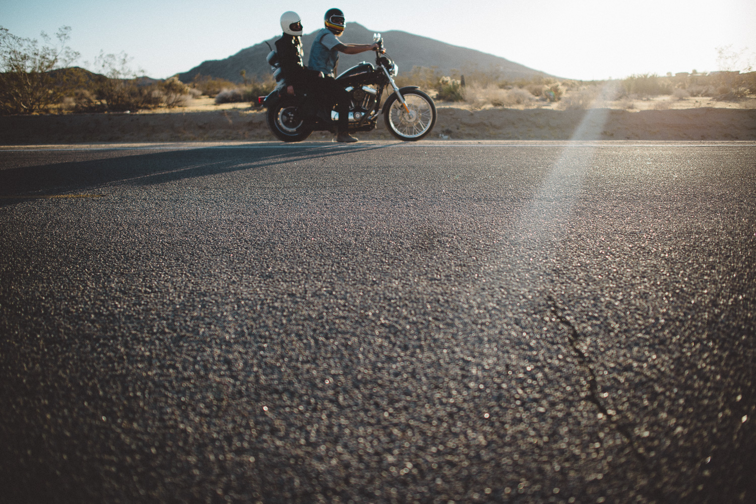lex_mike_joshua_tree_photography_5979.jpg