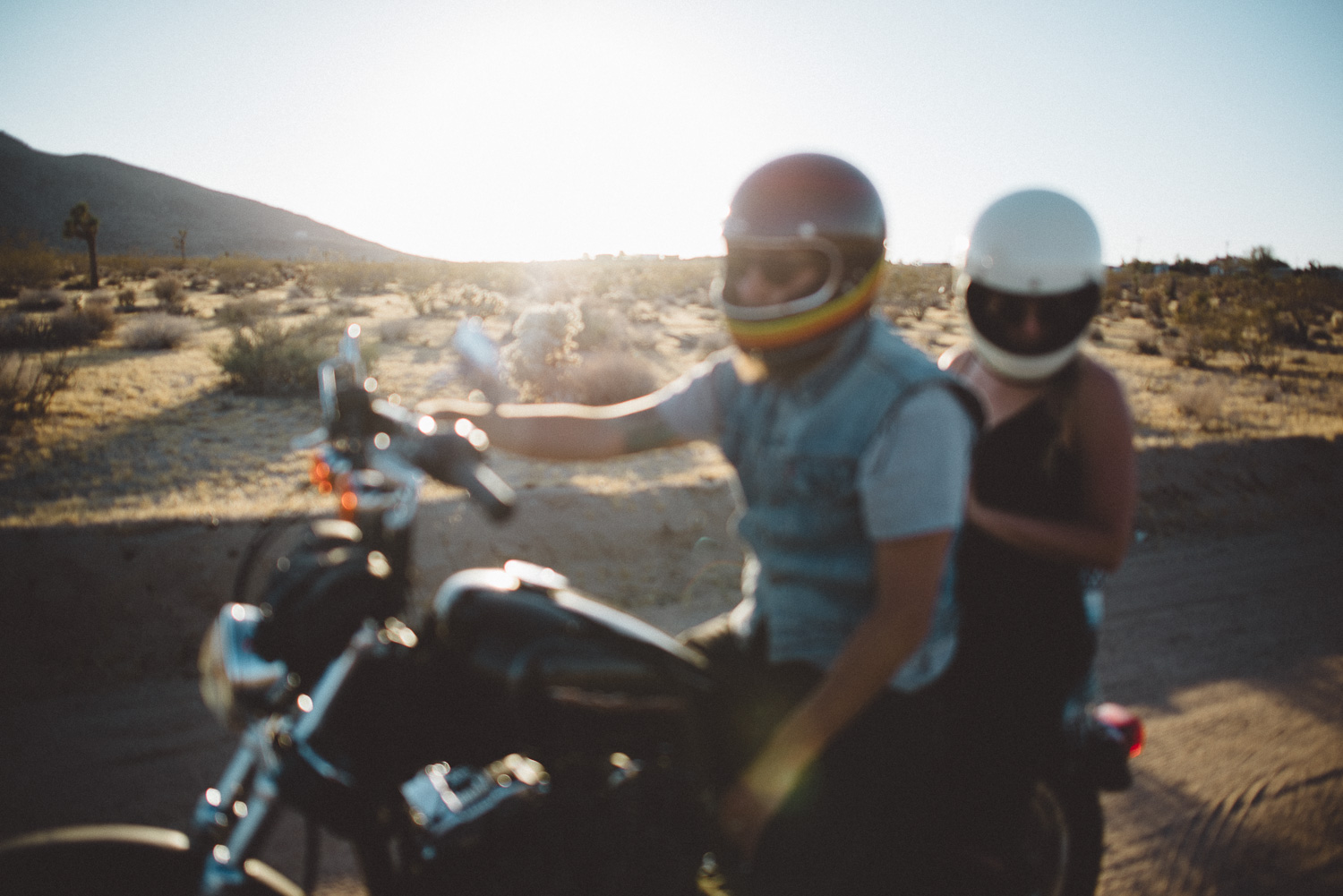 lex_mike_joshua_tree_photography_6009.jpg