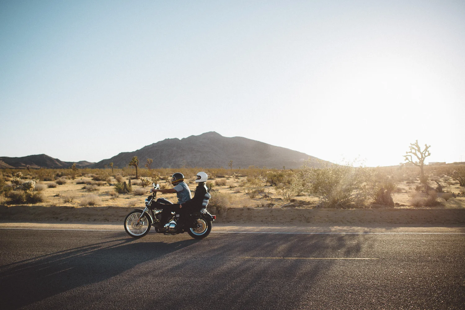 lex_mike_joshua_tree_photography_5949.jpg
