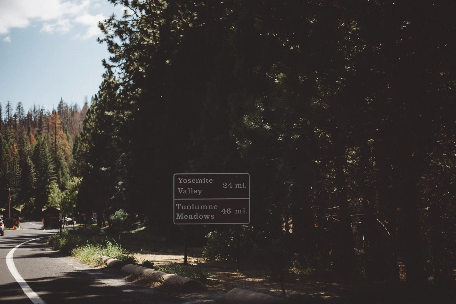 Inna_Alex_Yosemite_Elopement-3911.jpg