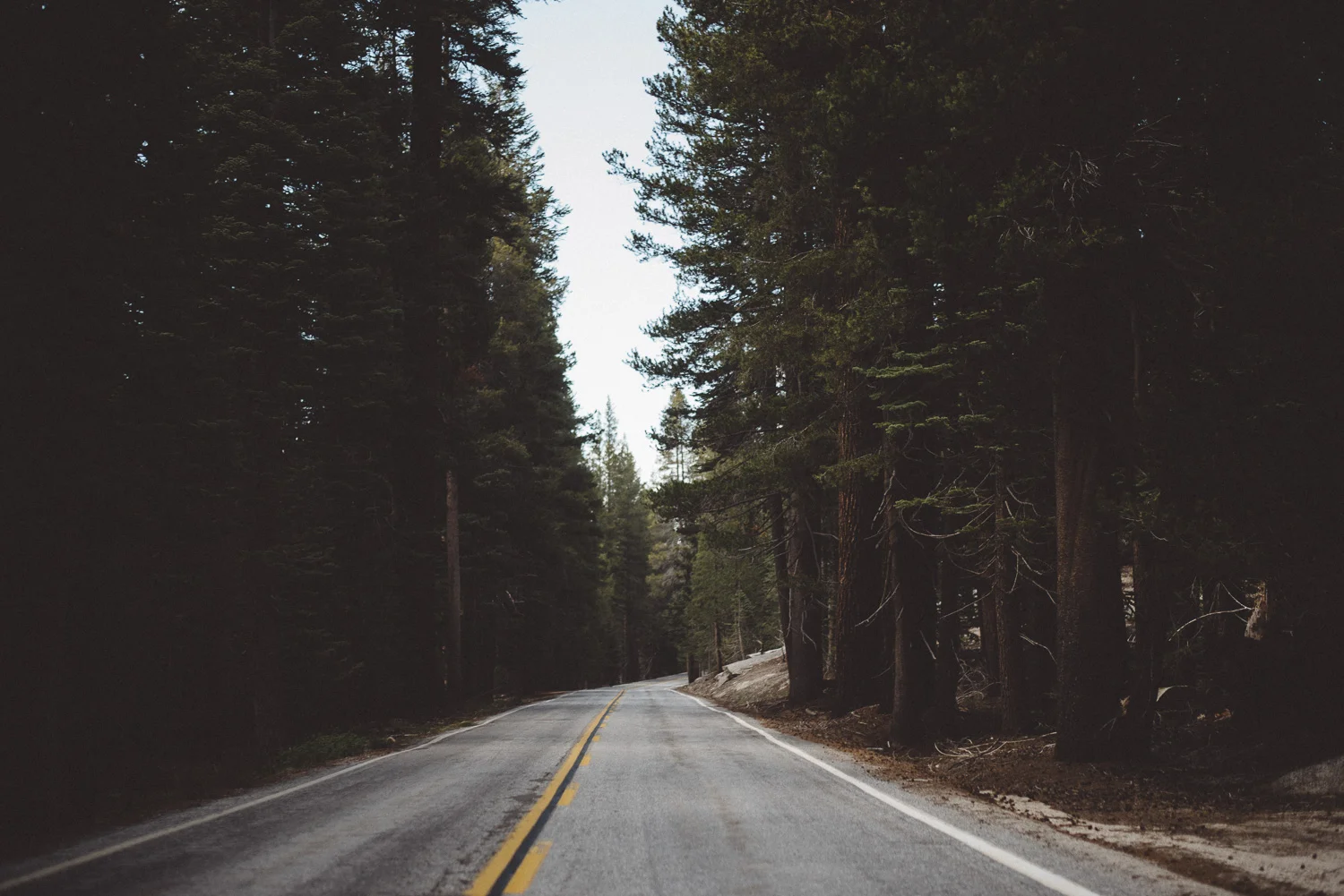 Inna_Alex_Yosemite_Elopement-3922.jpg