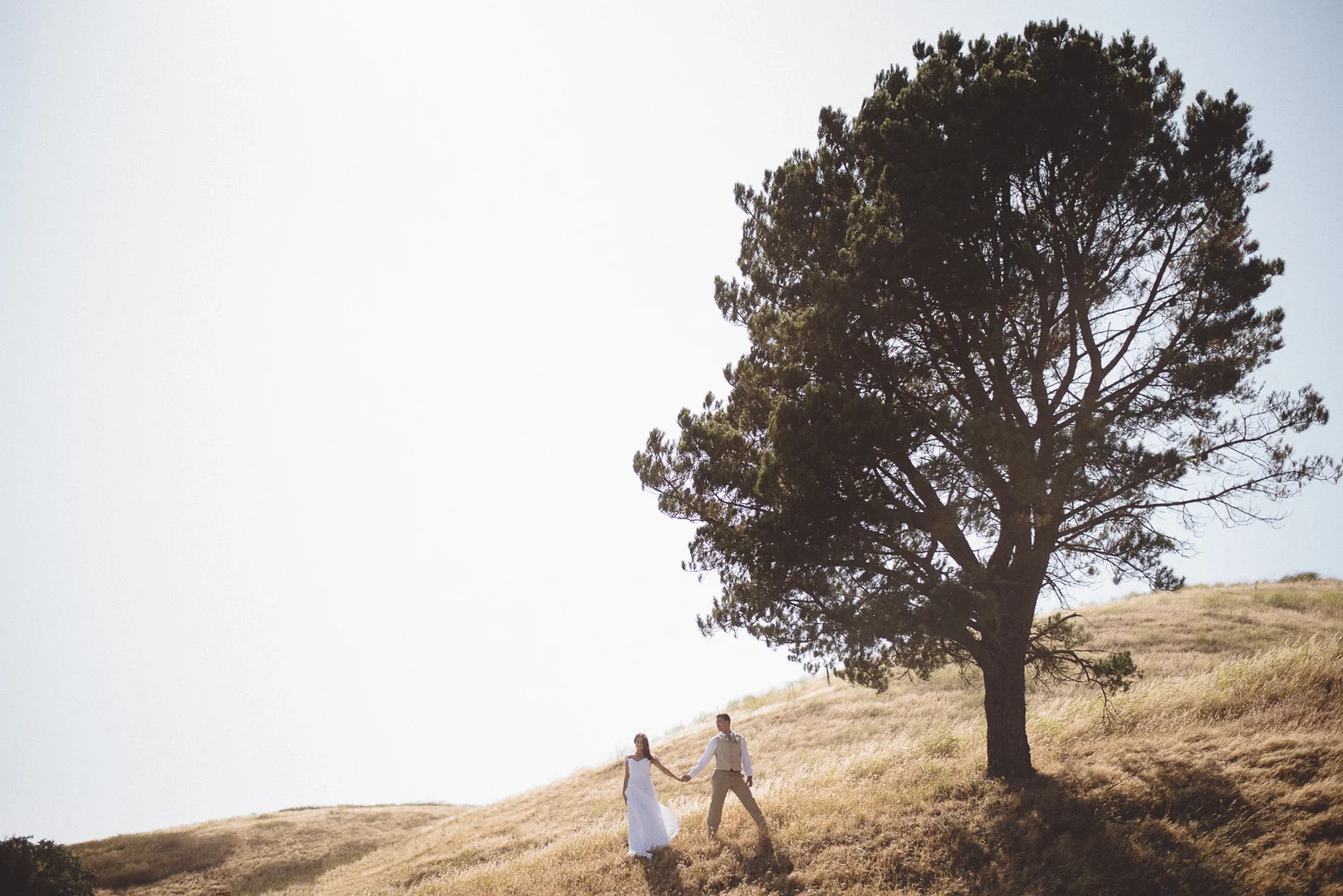 riley_zak_bay_area_wedding_photography_3420.jpg