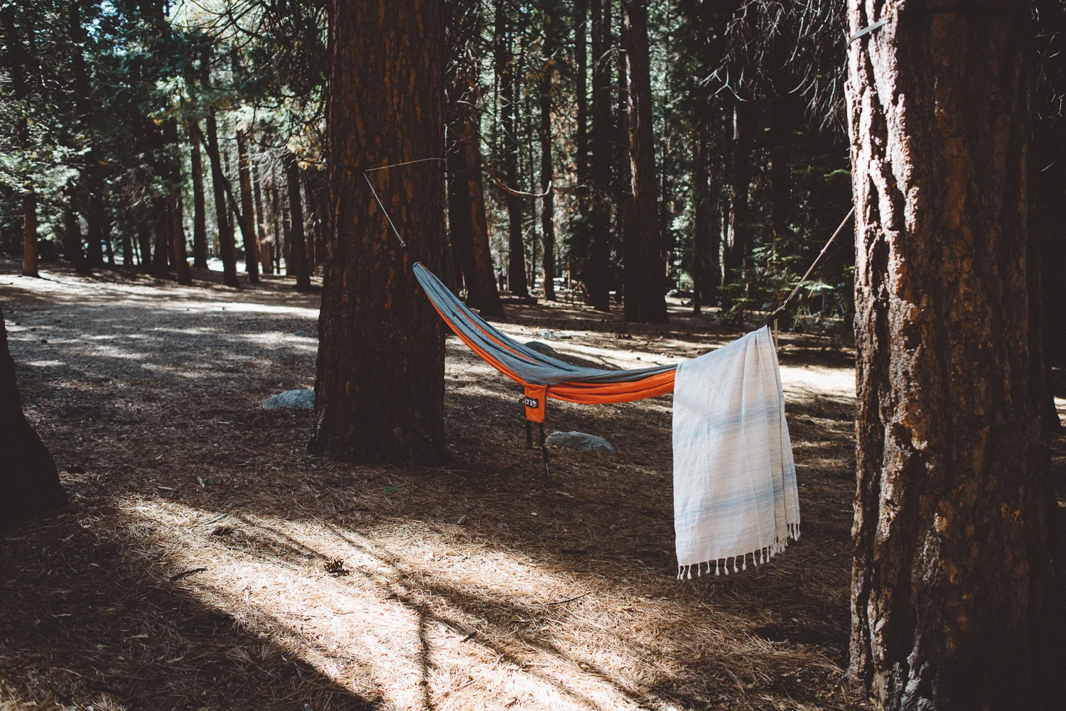 kings-canyon-elopement-lauren+hoss_4767.jpg