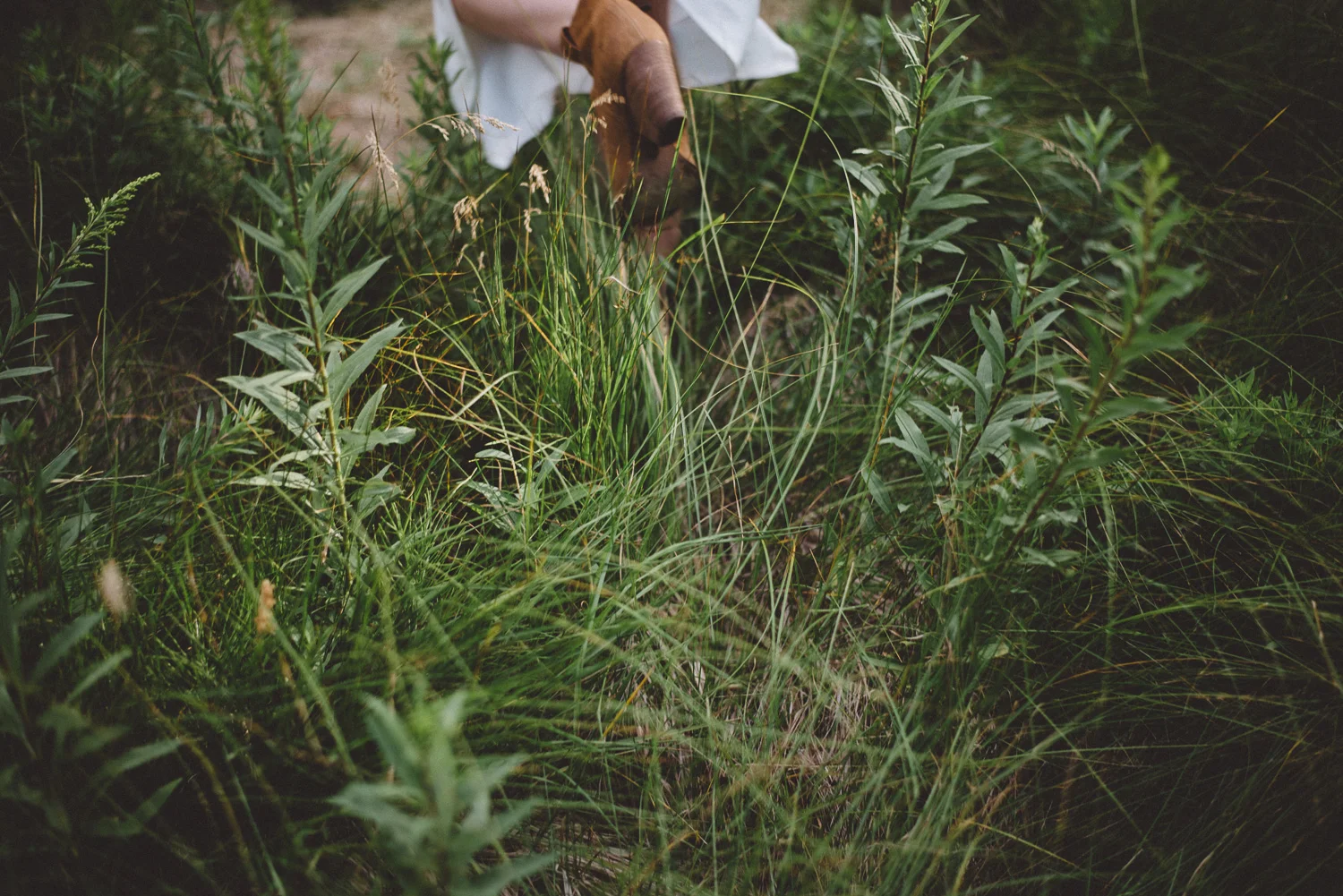 kings-canyon-elopement-lauren+hoss_5210.jpg
