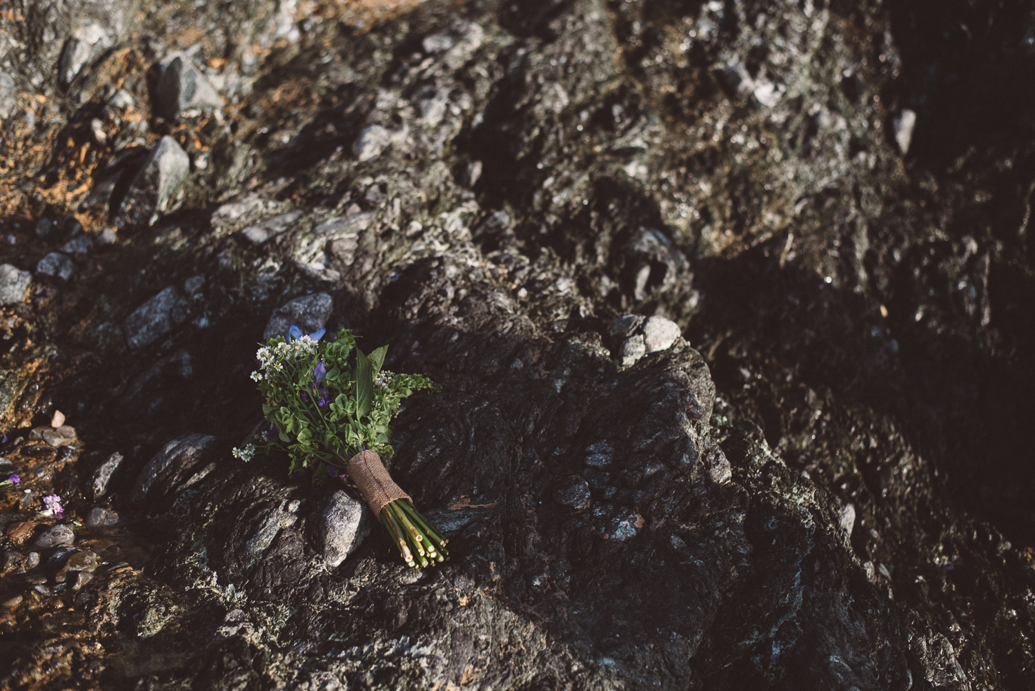 big-sur-elopement-megan-brian-0051.jpg