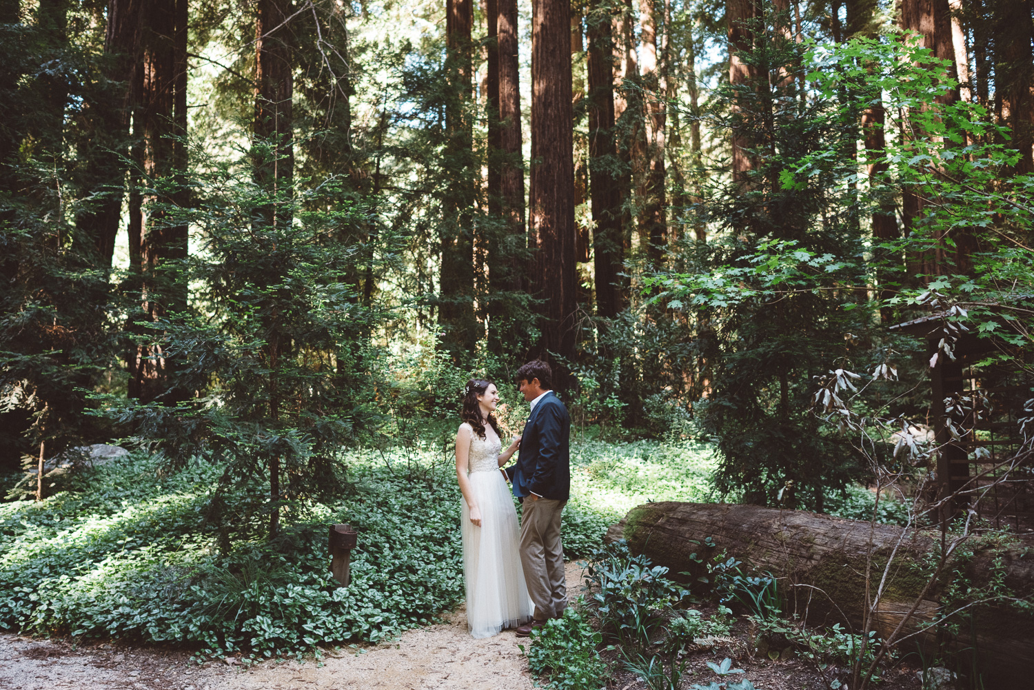 big-sur-elopement-megan-brian-9388.jpg