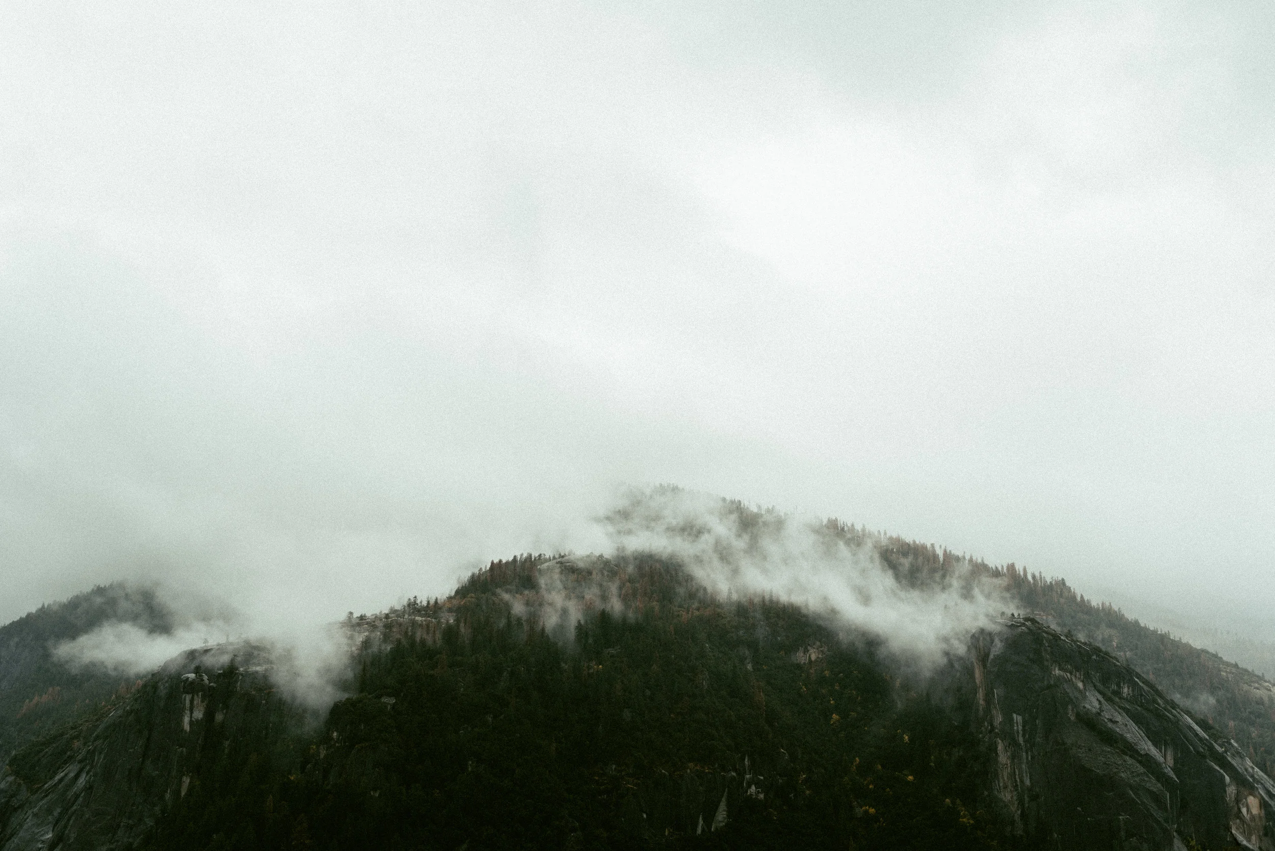 yosemite-wedding-dana-sean-1.jpg