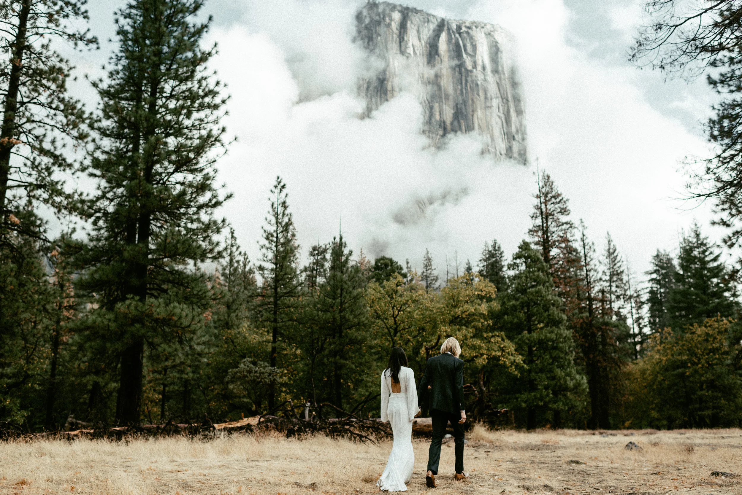 yosemite-wedding-dana-sean-101.jpg